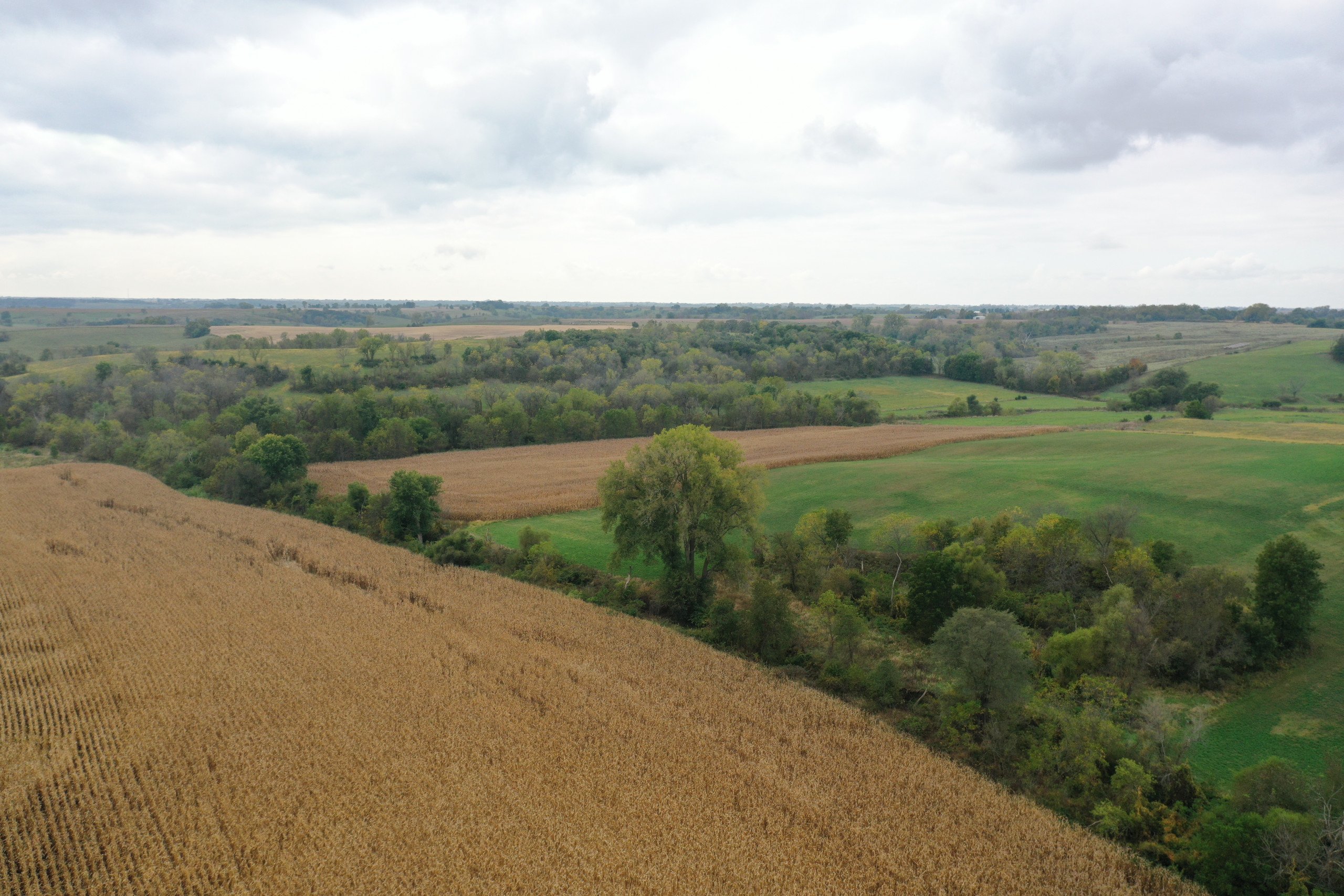 land-warren-county-iowa-200-acres-listing-number-15810-DJI_0579-2.jpg