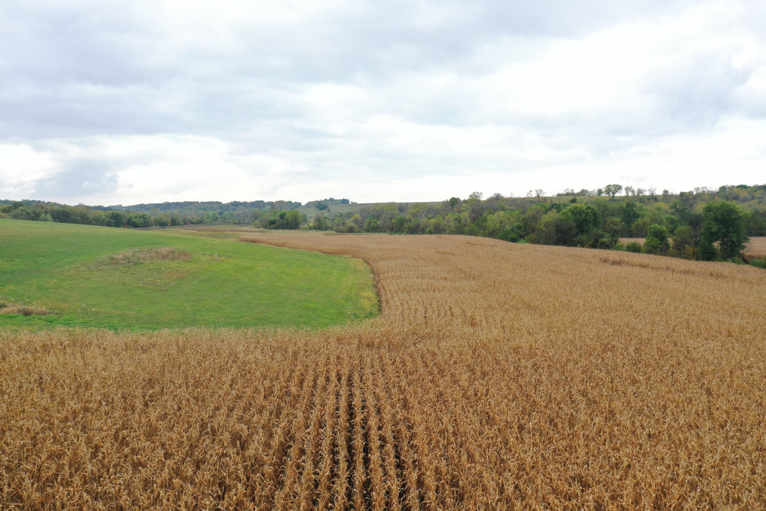 land-warren-county-iowa-200-acres-listing-number-15810-DJI_0581-3.jpg