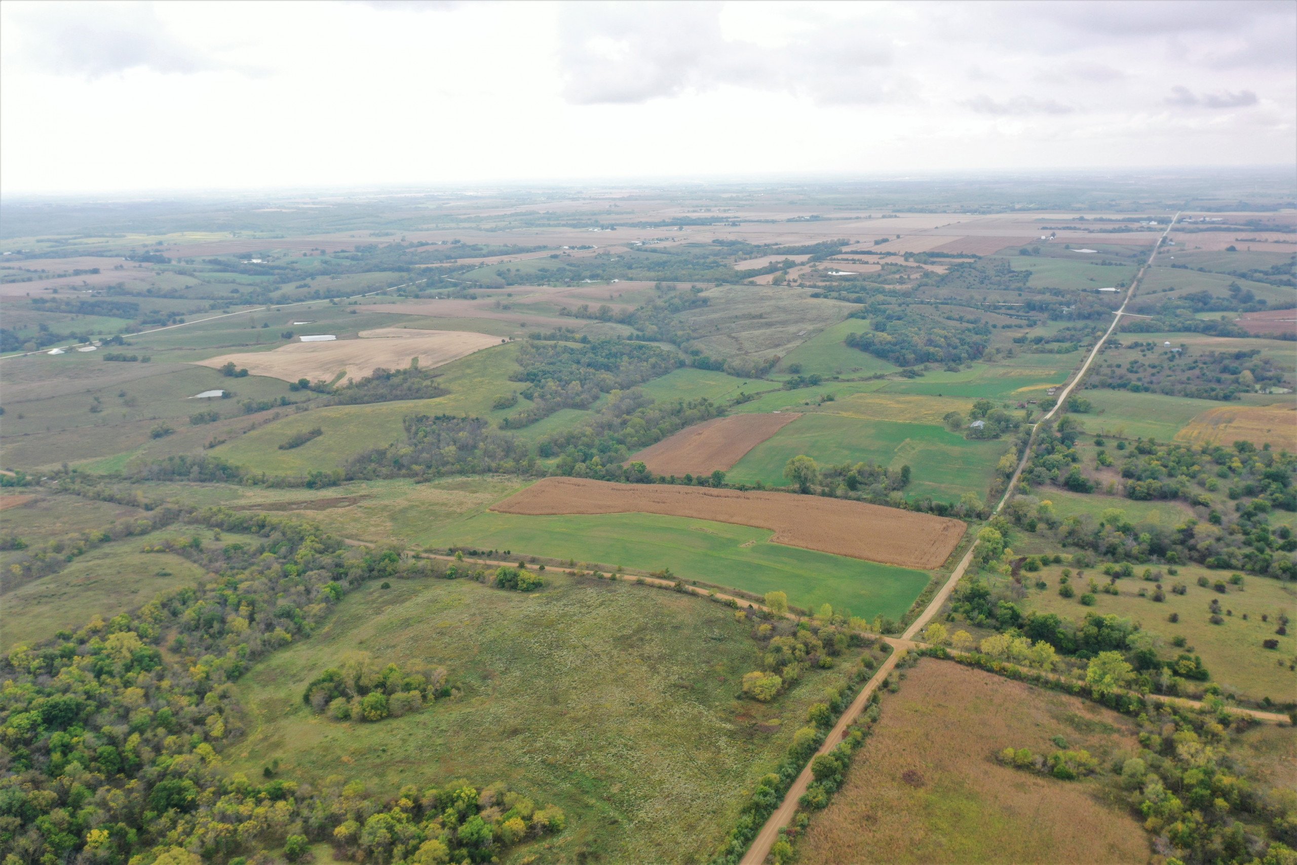 land-warren-county-iowa-200-acres-listing-number-15810-DJI_0583 (2)-1.jpg