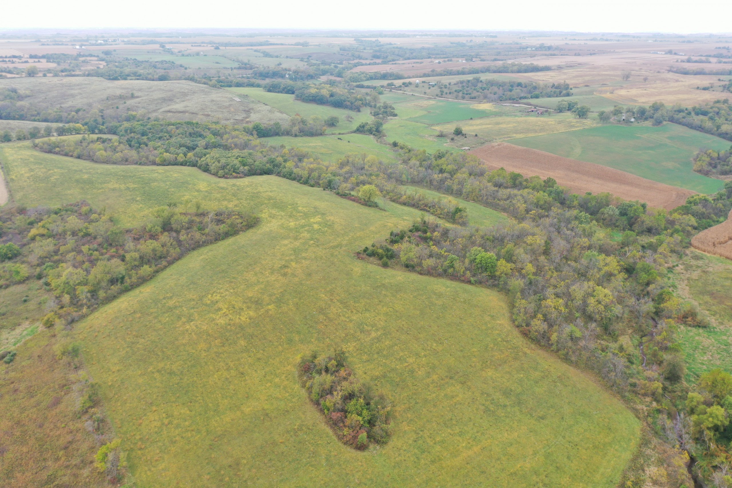 land-warren-county-iowa-200-acres-listing-number-15810-DJI_0589-0.jpg