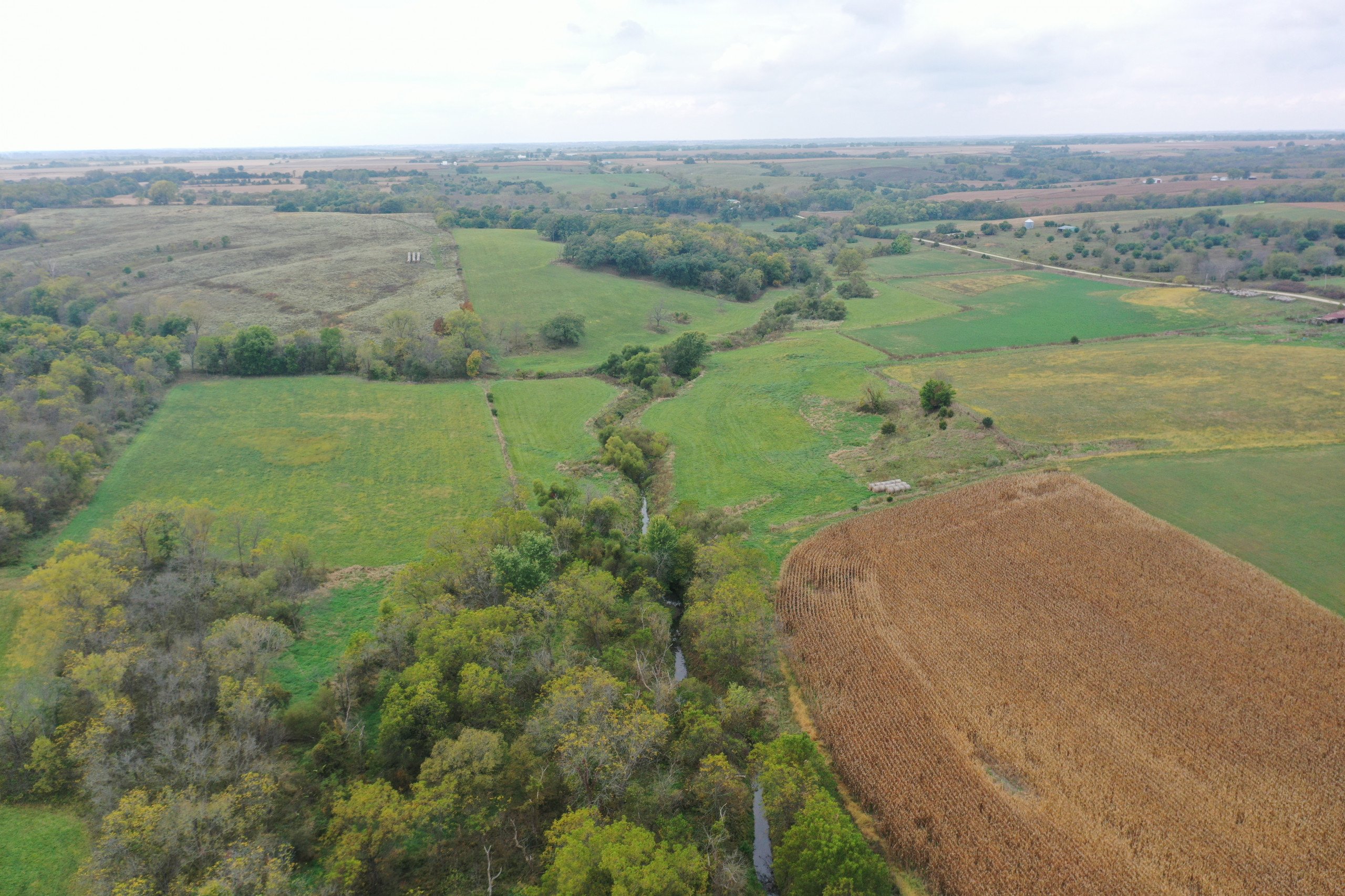 land-warren-county-iowa-200-acres-listing-number-15810-DJI_0595-0.jpg