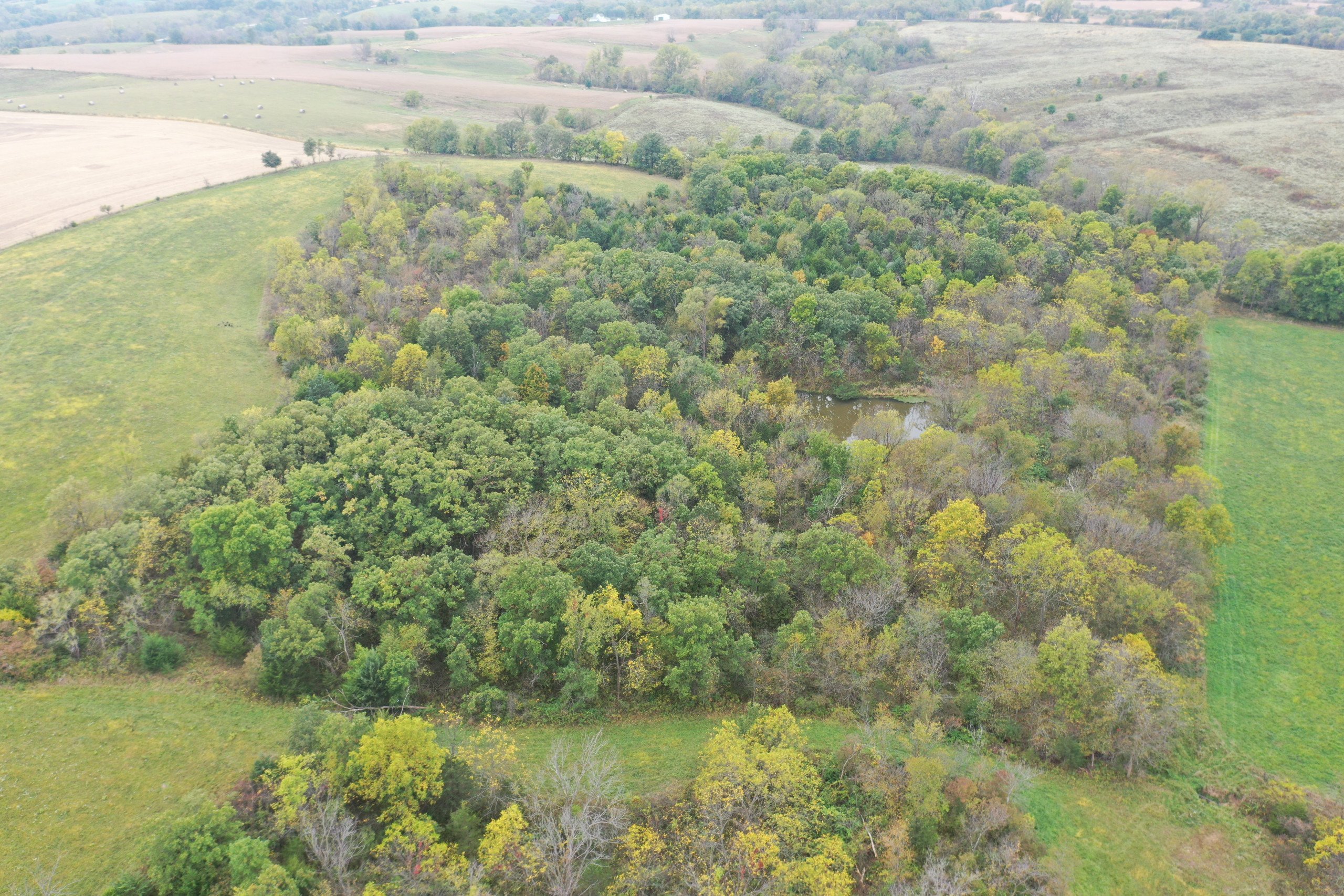 land-warren-county-iowa-200-acres-listing-number-15810-DJI_0597-2.jpg