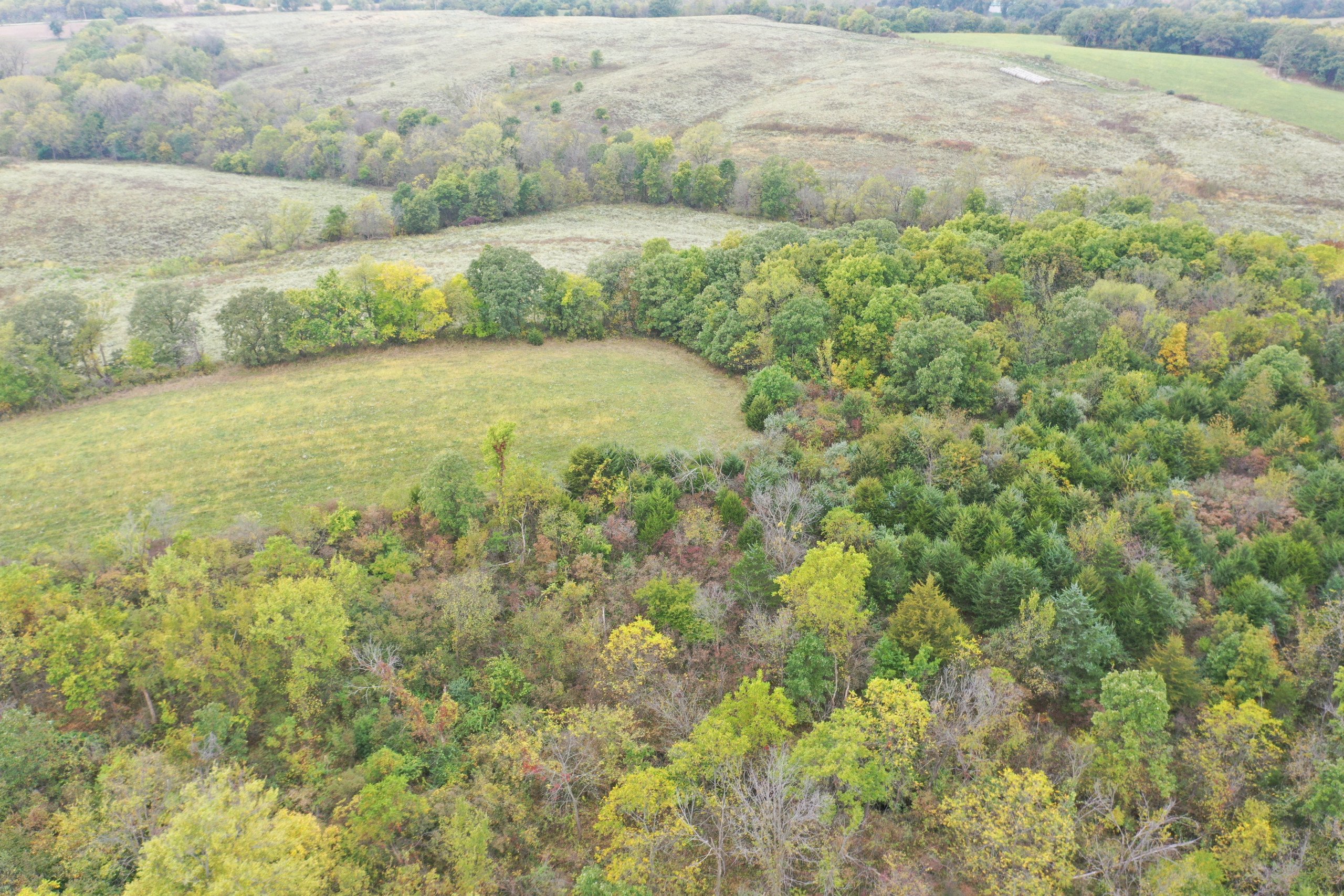 land-warren-county-iowa-200-acres-listing-number-15810-DJI_0602-0.jpg