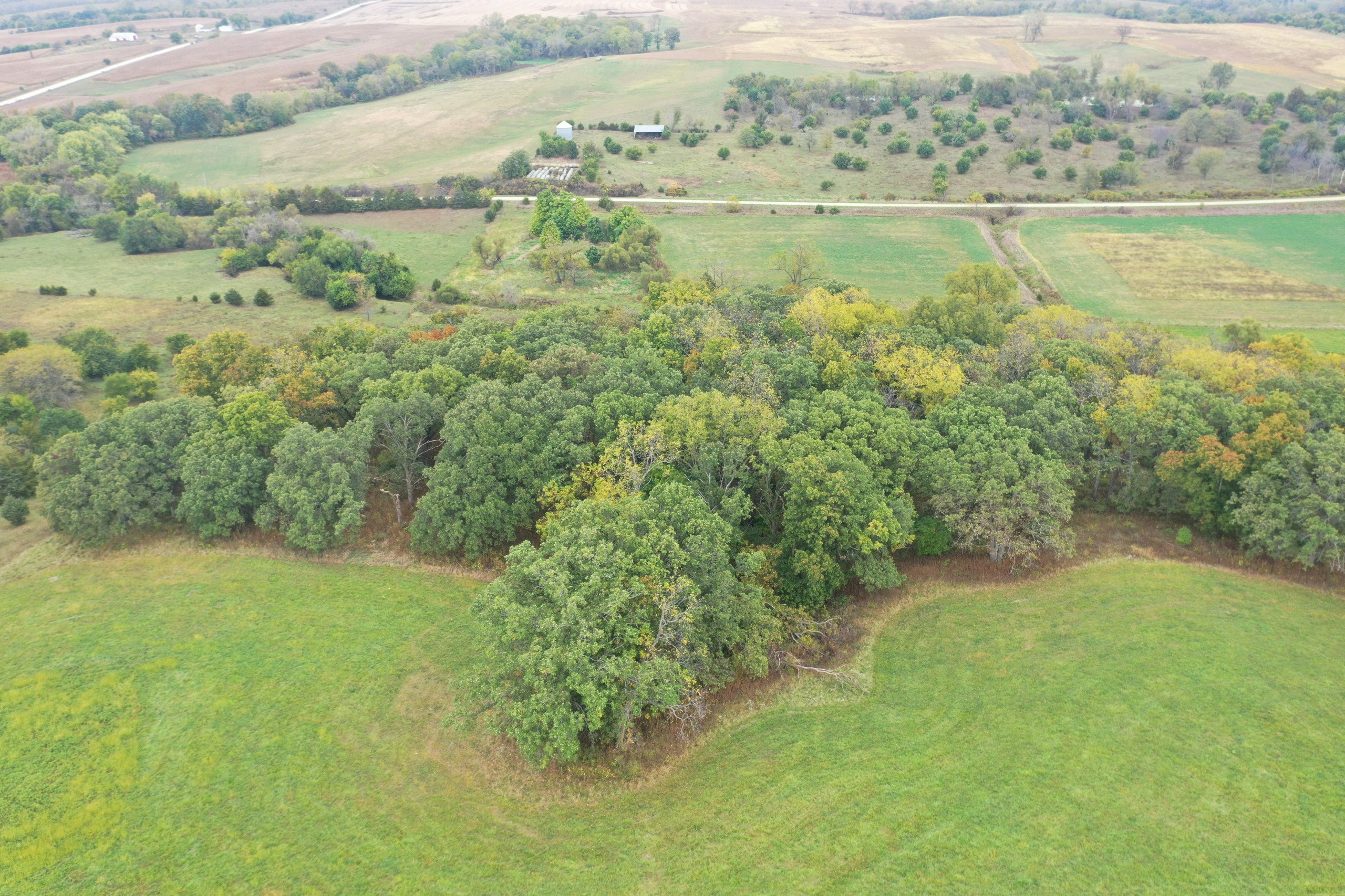 land-warren-county-iowa-200-acres-listing-number-15810-DJI_0615-6.jpg