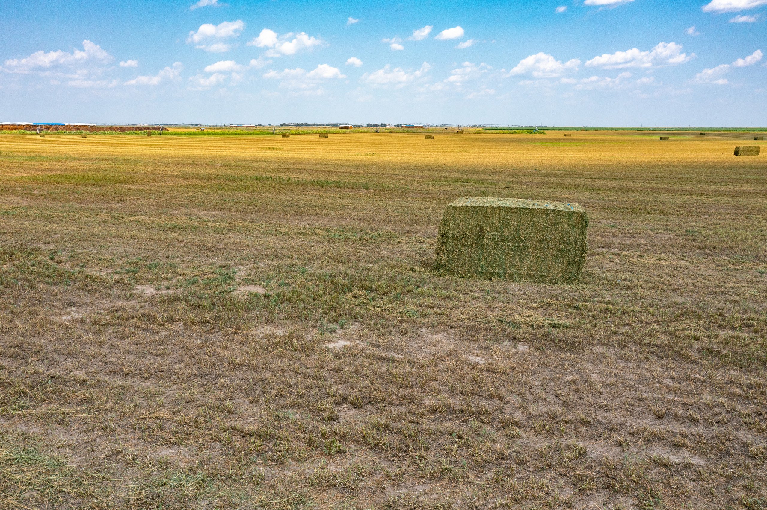 auctions-finney-county-kansas-975-acres-listing-number-15813-Gallery 12-0.jpg