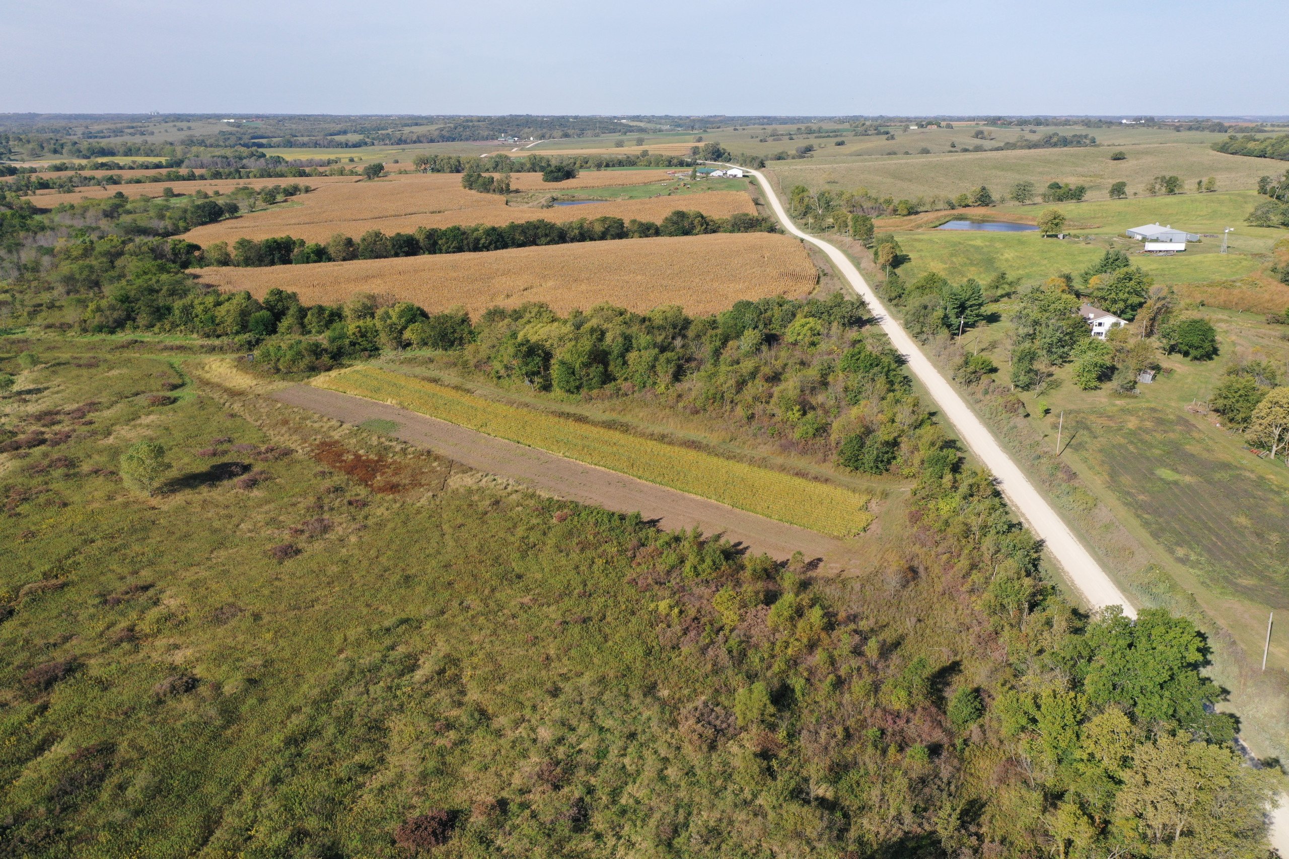 land-madison-county-iowa-82-acres-listing-number-15823-DJI_0884-0.jpg