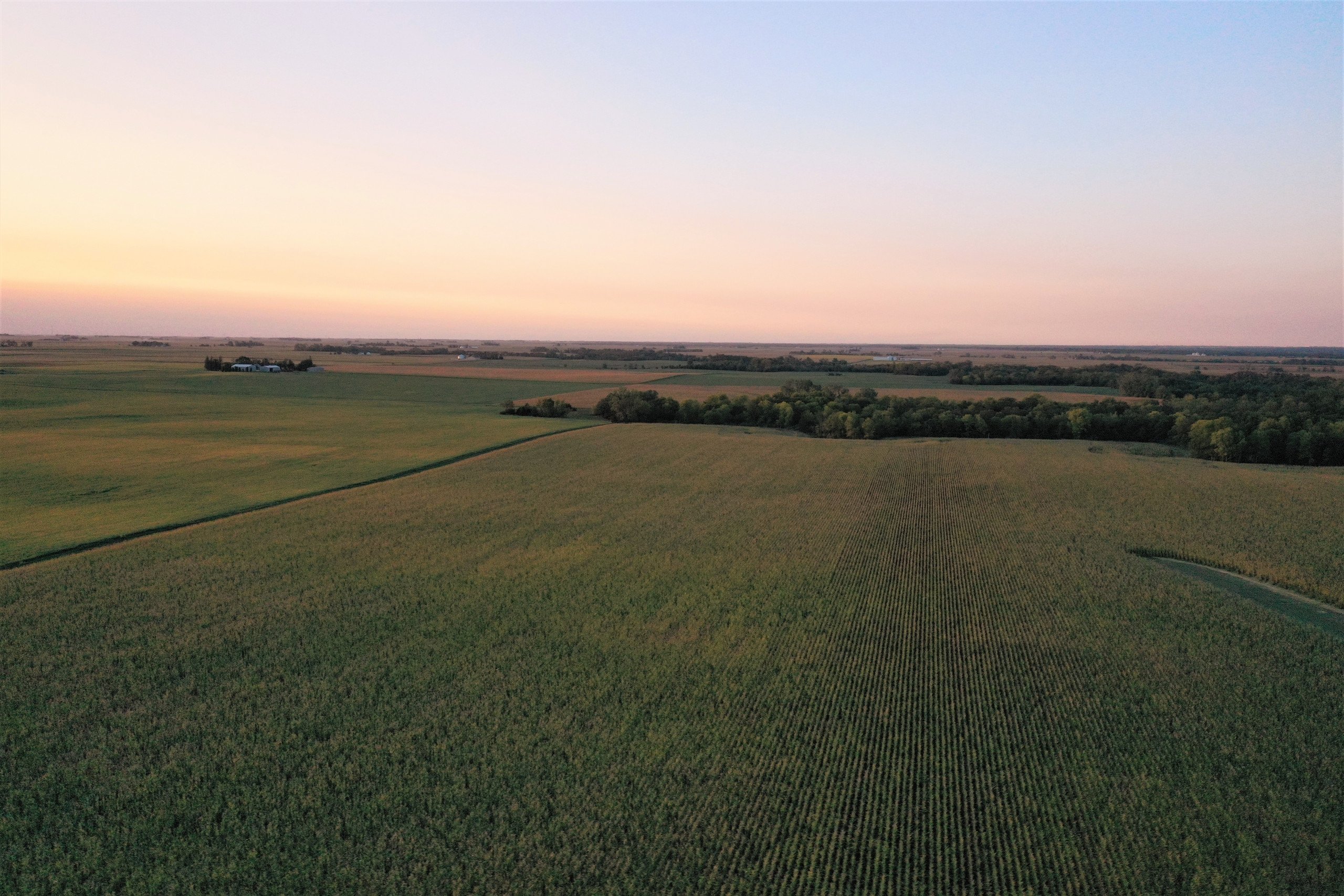 land-boone-county-iowa-156-acres-listing-number-15836-Ground 3-2.jpg