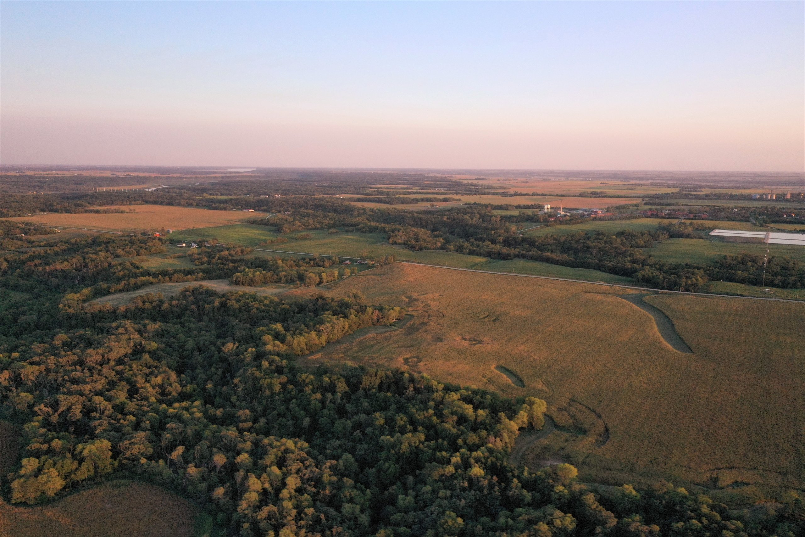 land-boone-county-iowa-156-acres-listing-number-15836-Ground 5-4.jpg