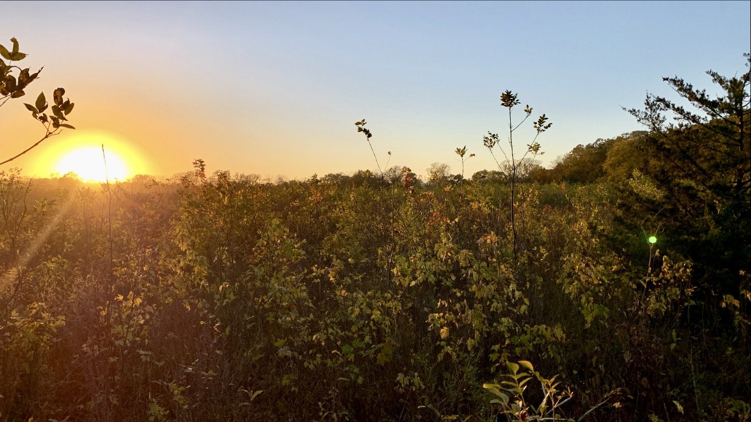 land-warren-county-iowa-48-acres-listing-number-15837-BECC563B-6843-47C0-AC9D-21C7F2C3480E-1.jpg