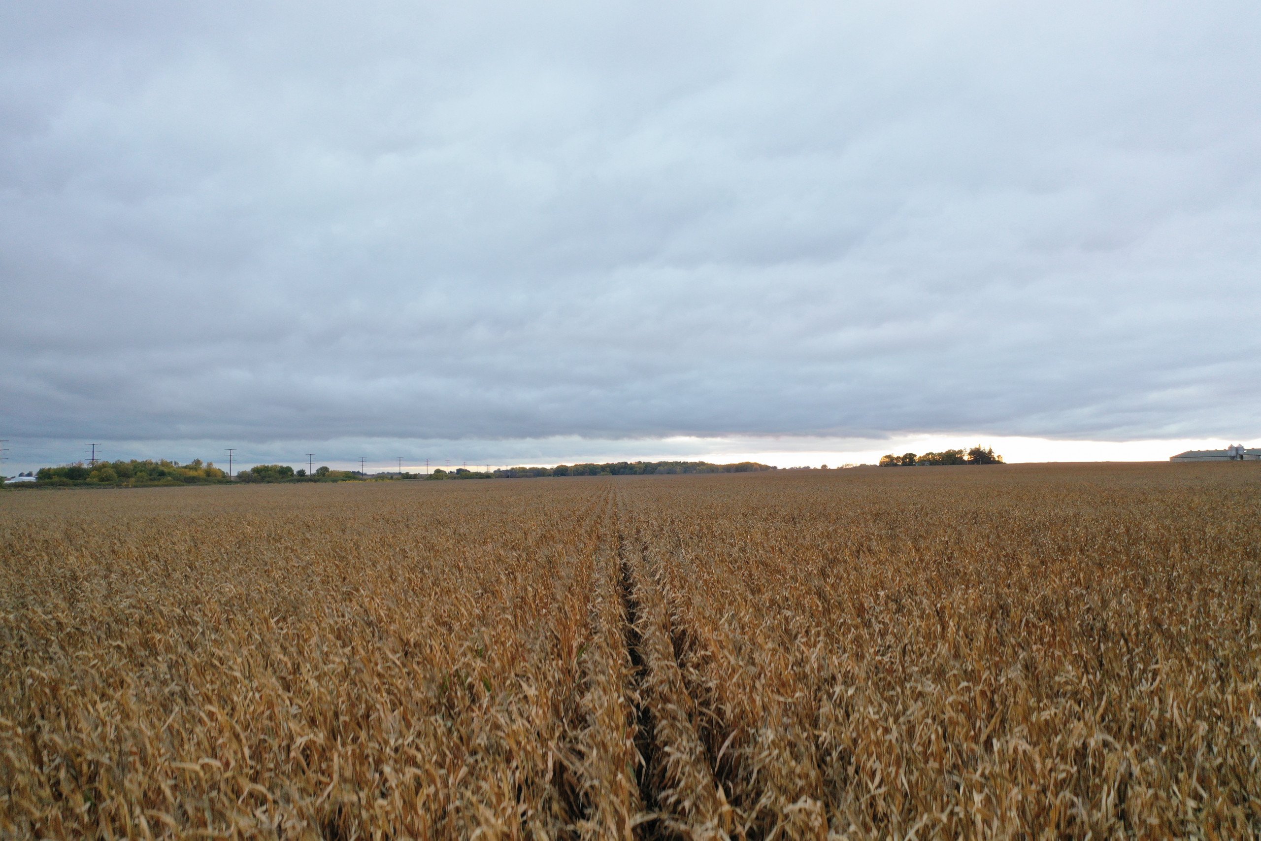 land-black-hawk-county-iowa-128-acres-listing-number-15840-DJI_0349-0.jpg