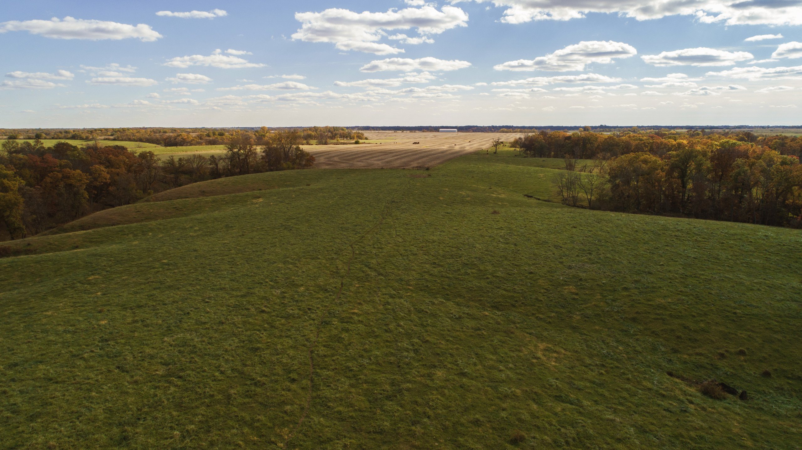 auctions-land-lucas-county-iowa-663-acres-listing-number-15844-DJI_0022-0.jpg