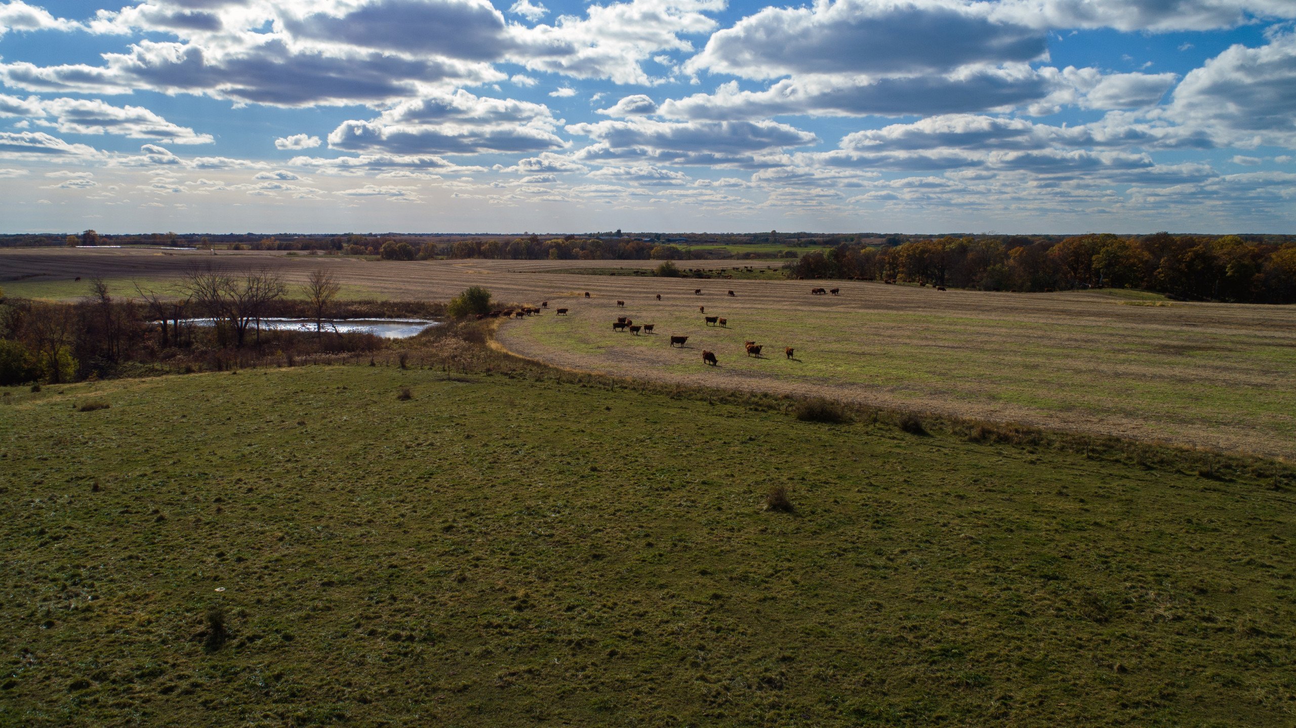 auctions-land-lucas-county-iowa-663-acres-listing-number-15844-DJI_0027-0.jpg
