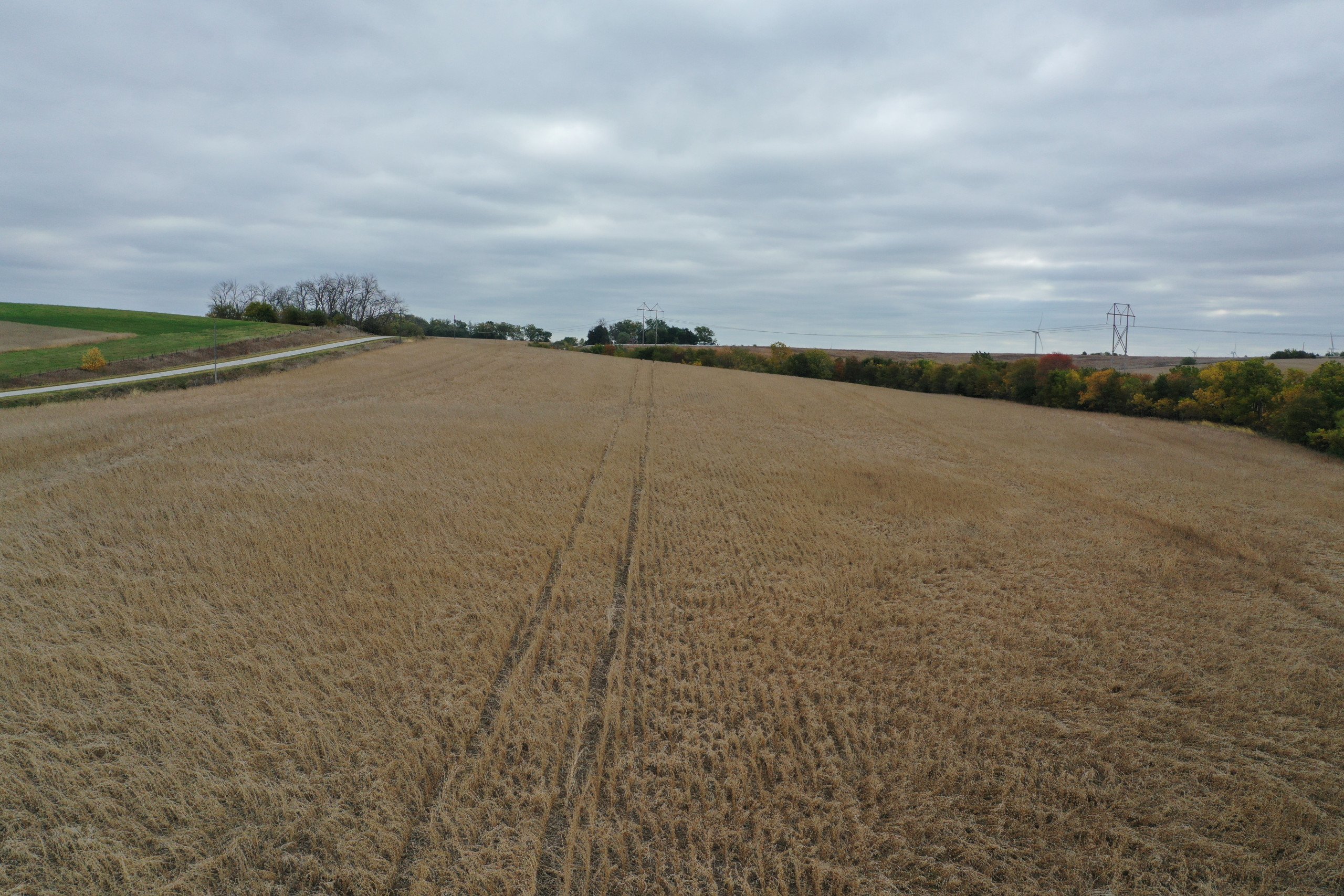 Major Adams County, Iowa Farmland For Sale 