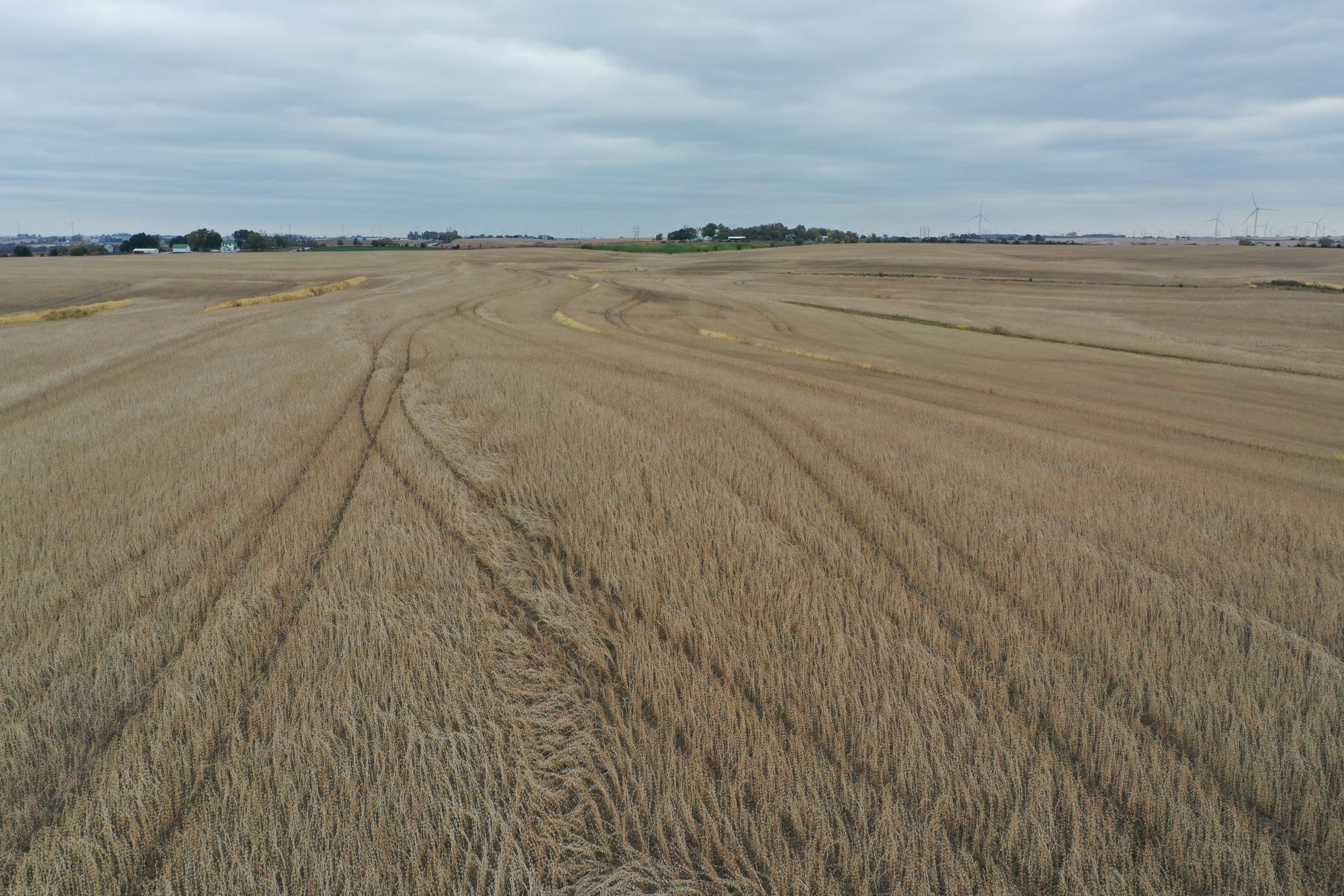 Major Adams County, Iowa Farmland For Sale 