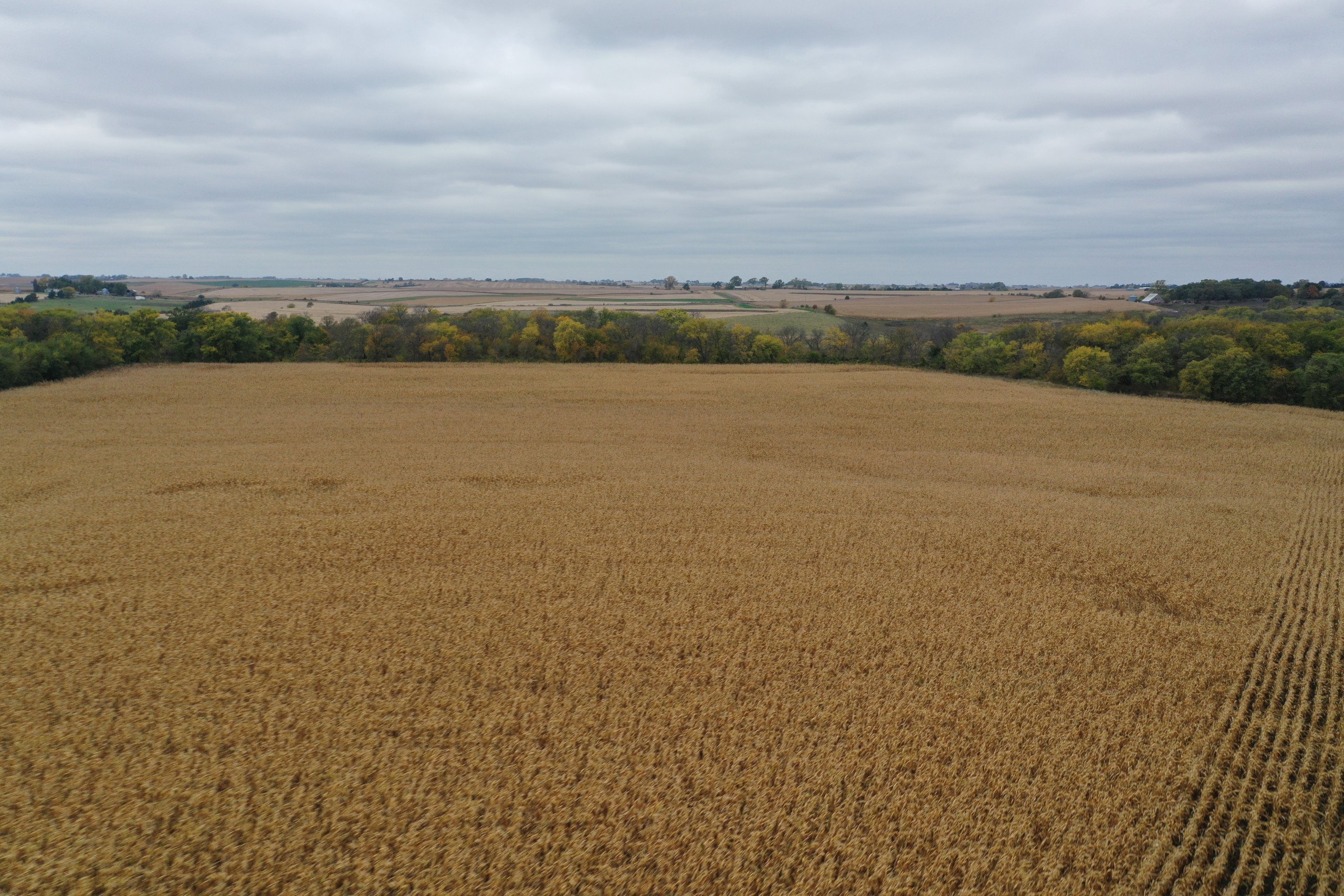 Major Adams County, Iowa Farmland For Sale 