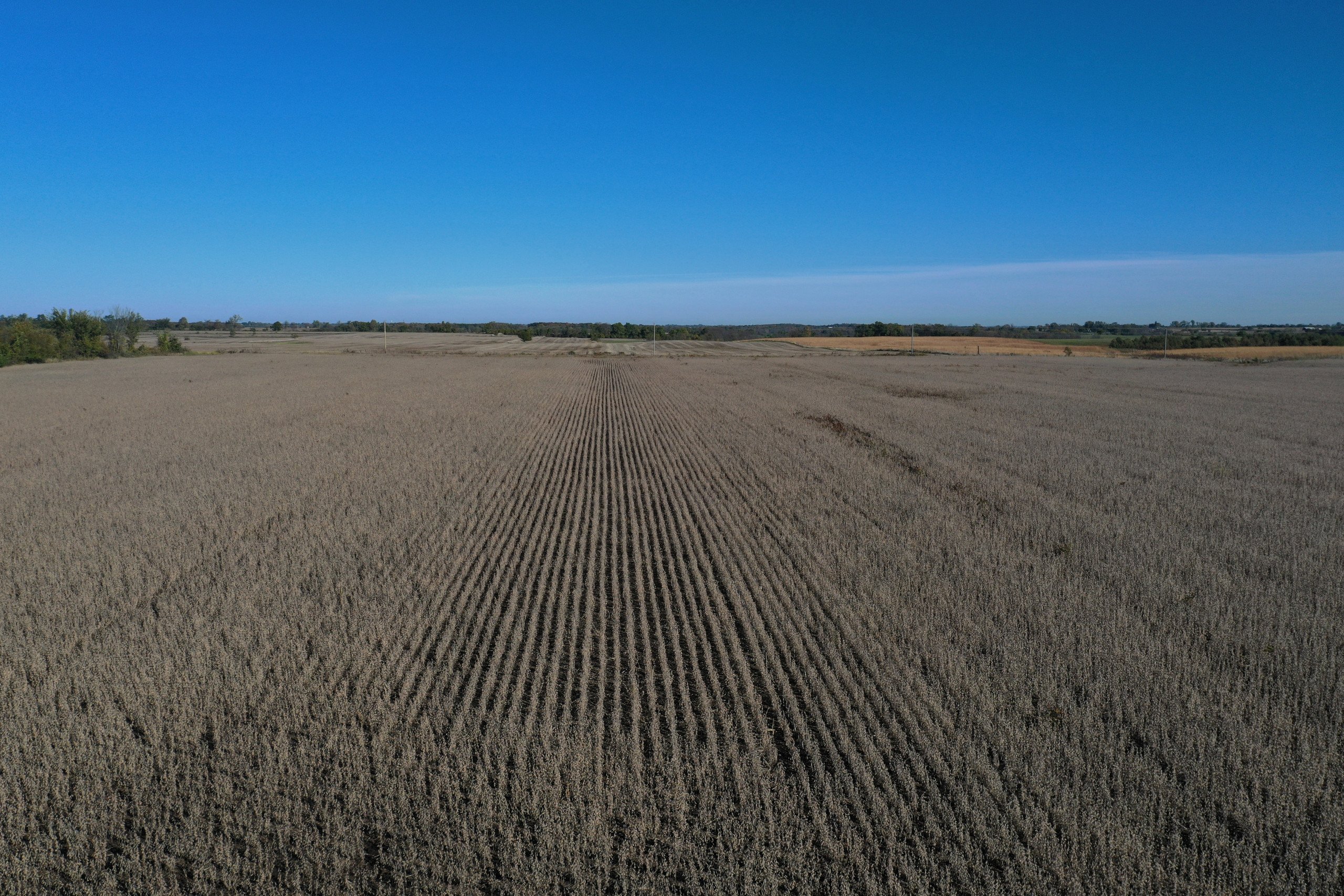 5-560th-st-and-280th-ave-williamson-50272-DJI_0749-3.jpg