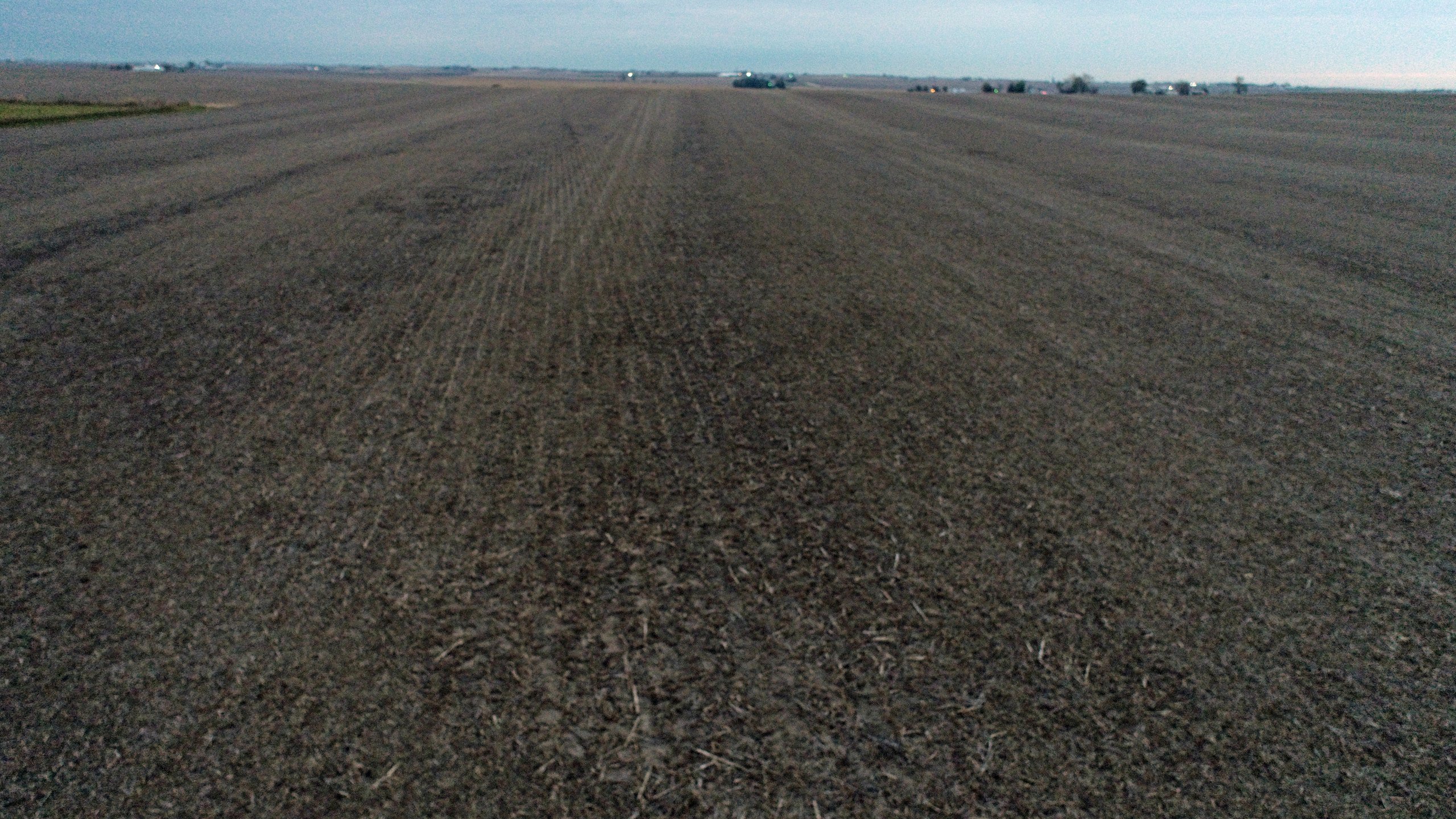 auctions-land-clinton-county-iowa-40-acres-listing-number-15859-DJI_0110-2.jpg
