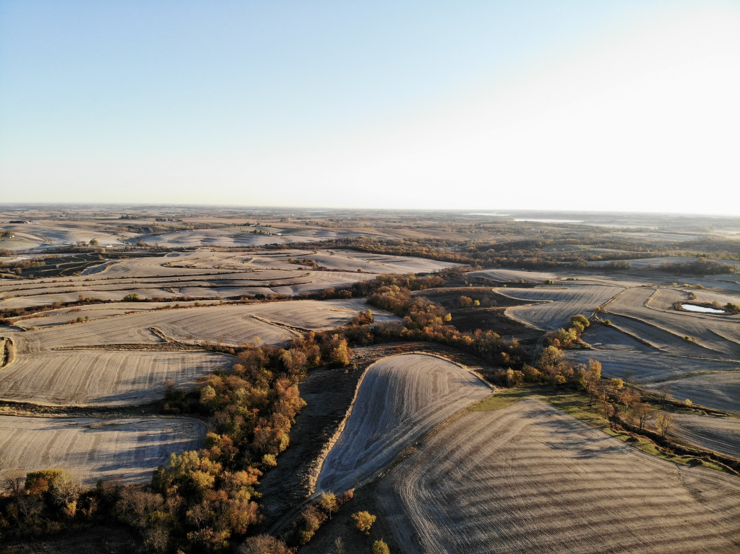 land-marion-county-iowa-56-acres-listing-number-15870-A51F607B6773FCB1098B4855BFC21D85-3.jpg