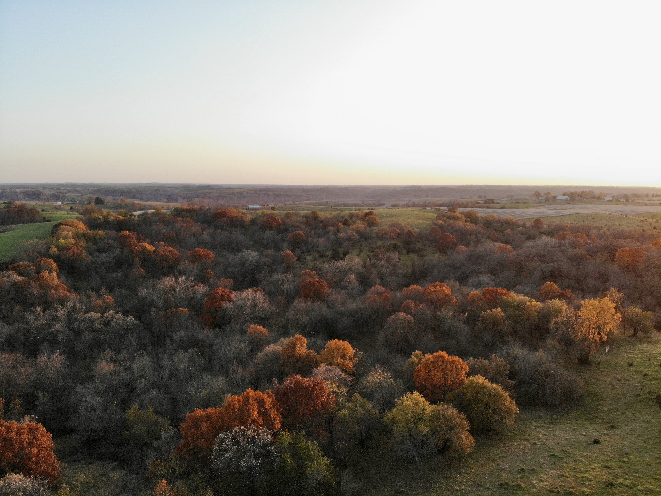 land-lucas-county-iowa-80-acres-listing-number-15882-EA10CE7ED45FA57582C2370AFF561F6B-1.jpg