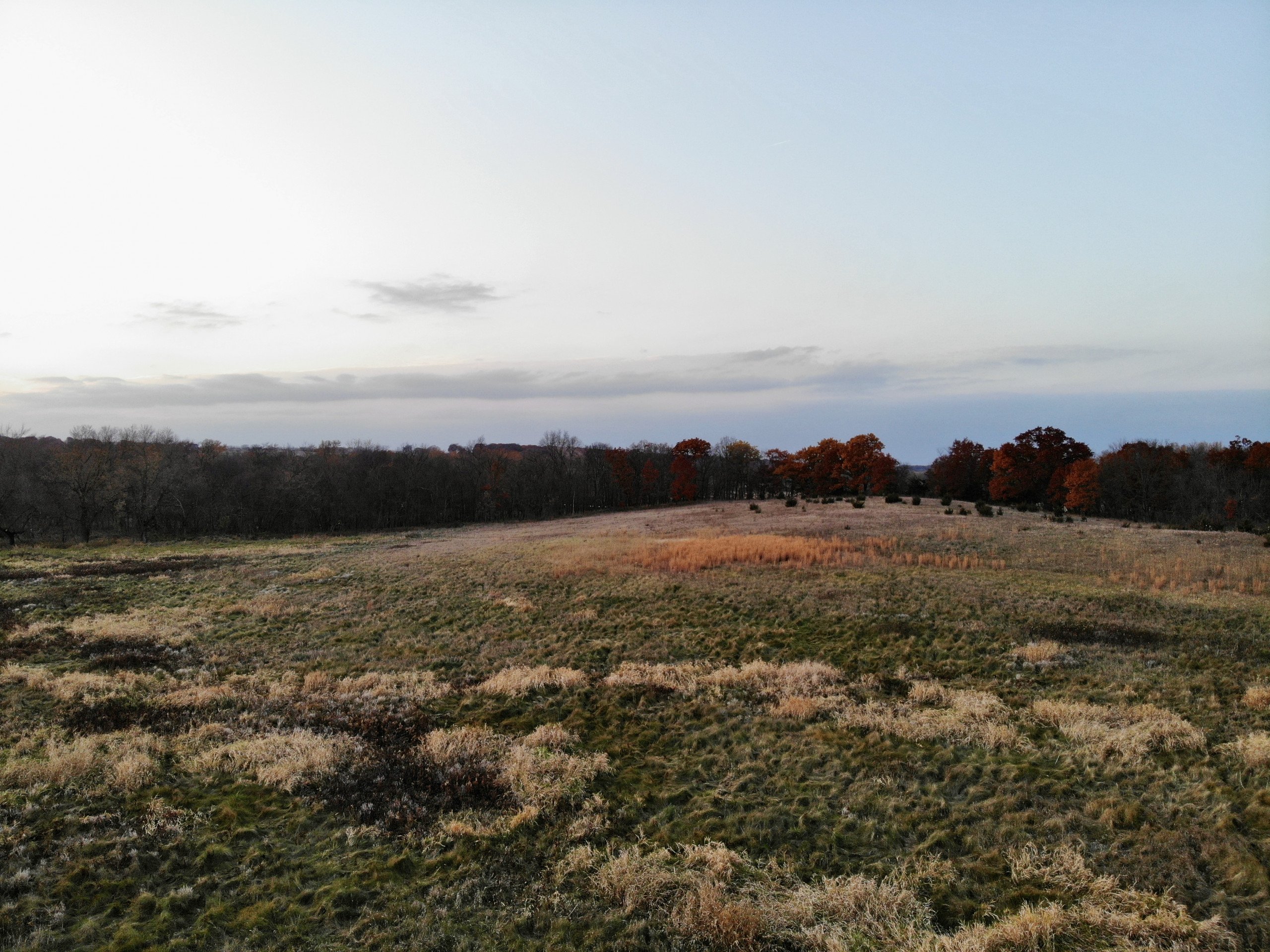 land-lucas-county-iowa-70-acres-listing-number-15884-D1EEC50CC6F3B4602076E4592F0BACDD-1.jpg