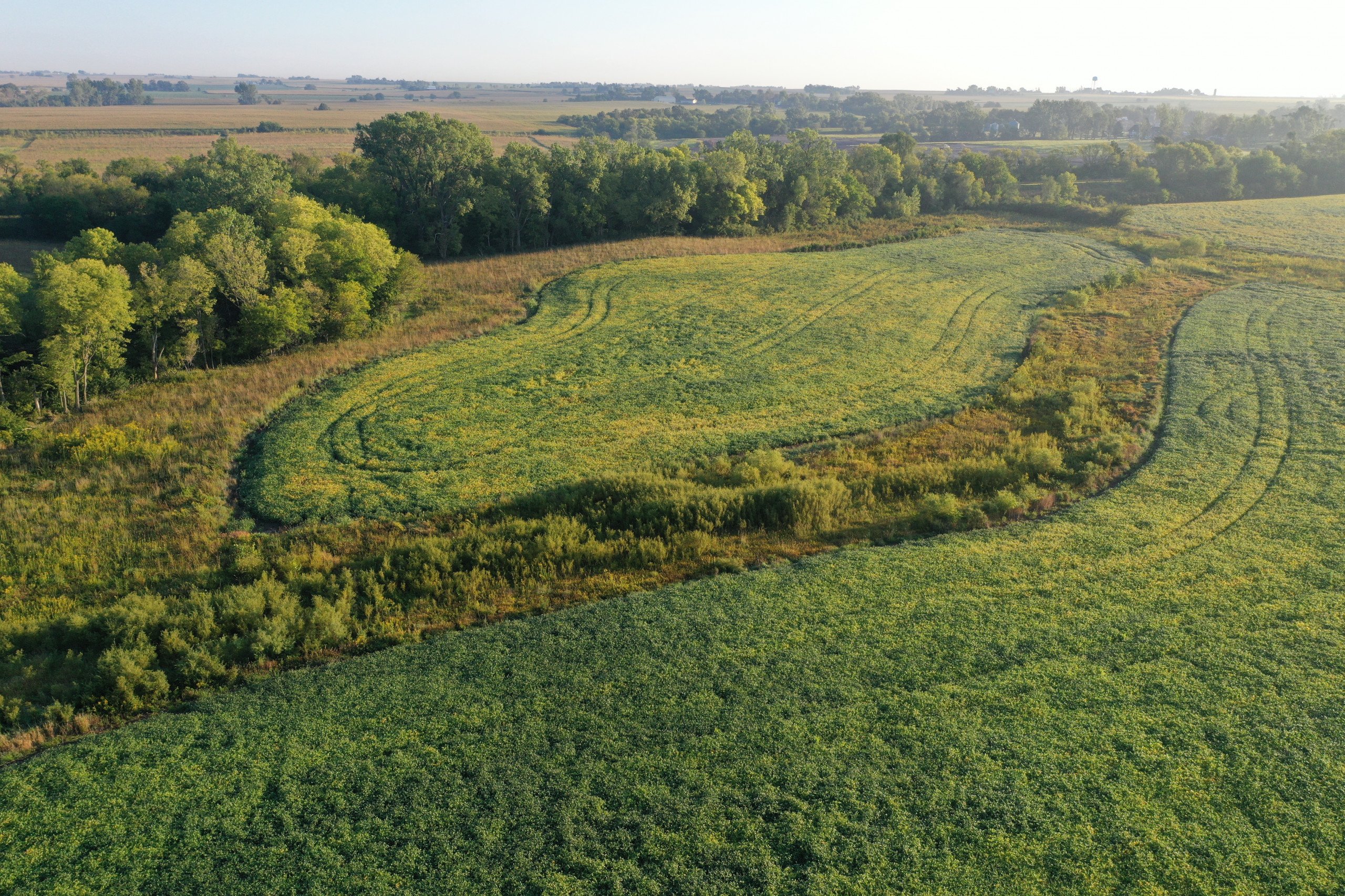 Dallas County Iowa Farmland for Sale