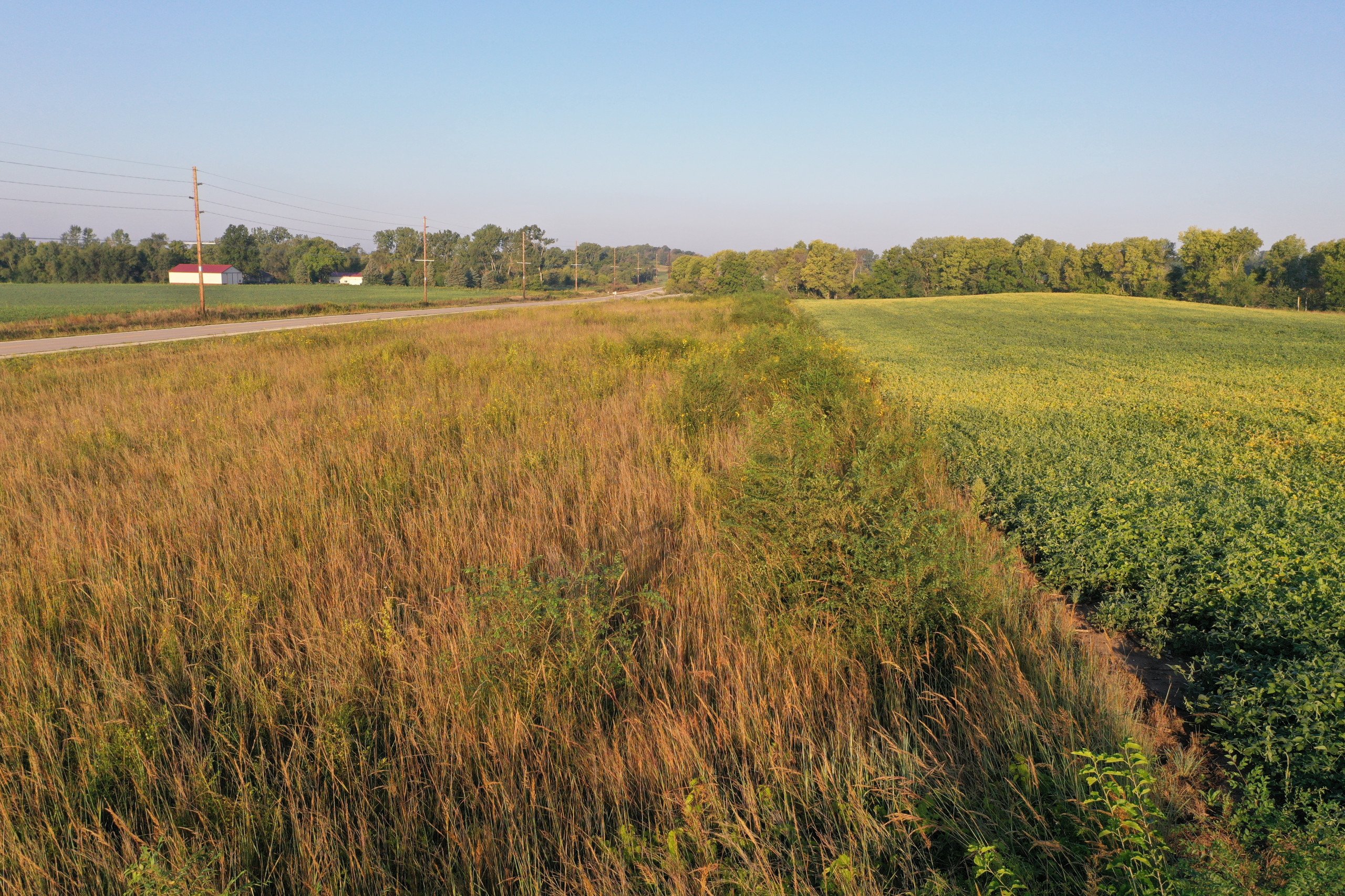 Dallas County Iowa Farmland for Sale