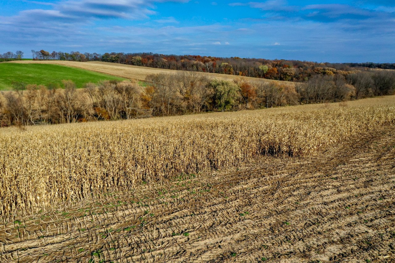 land-green-county-wisconsin-178-acres-listing-number-15893-DJI_0703-4.jpg