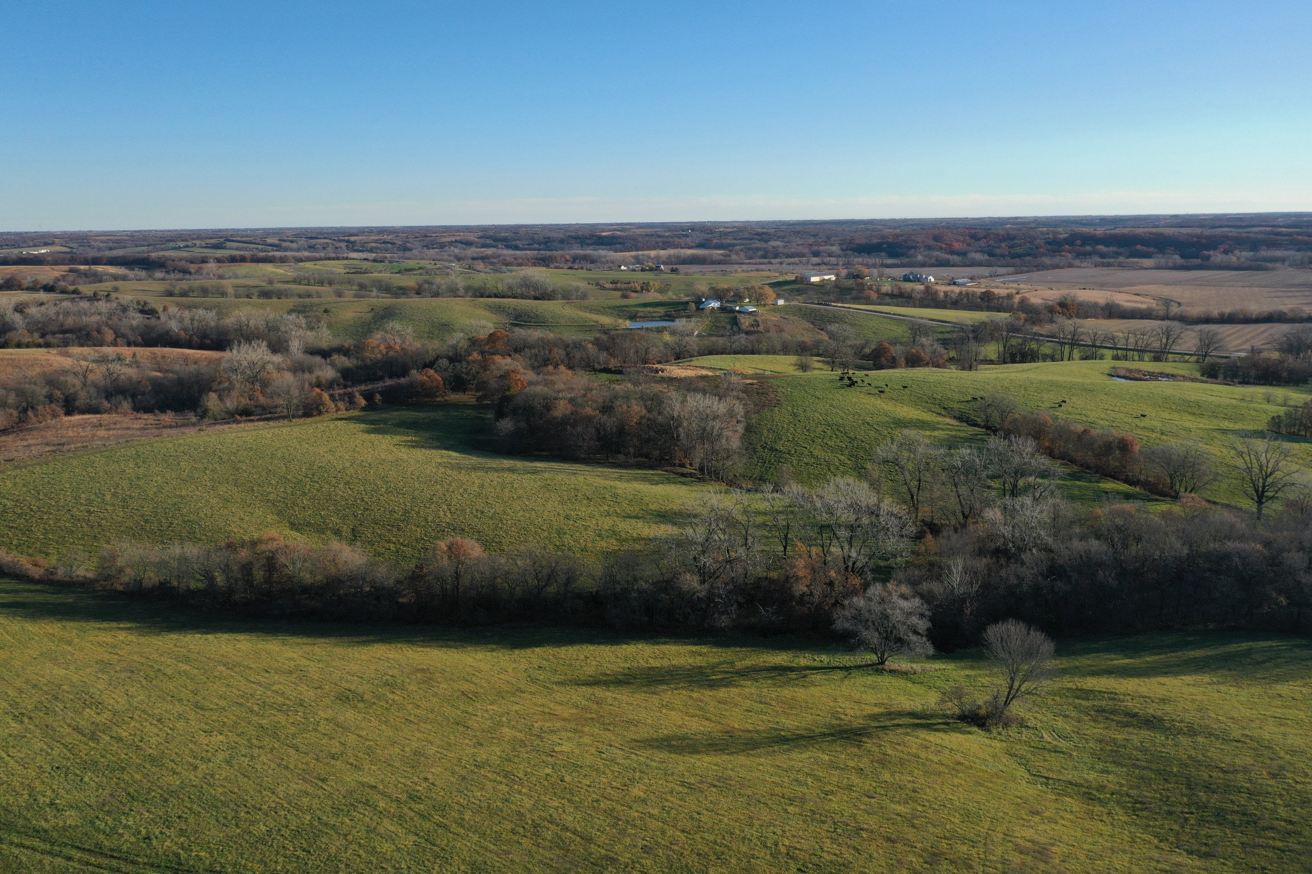 land-decatur-county-iowa-140-acres-listing-number-15896-DJI_0899 (1)-2.jpg