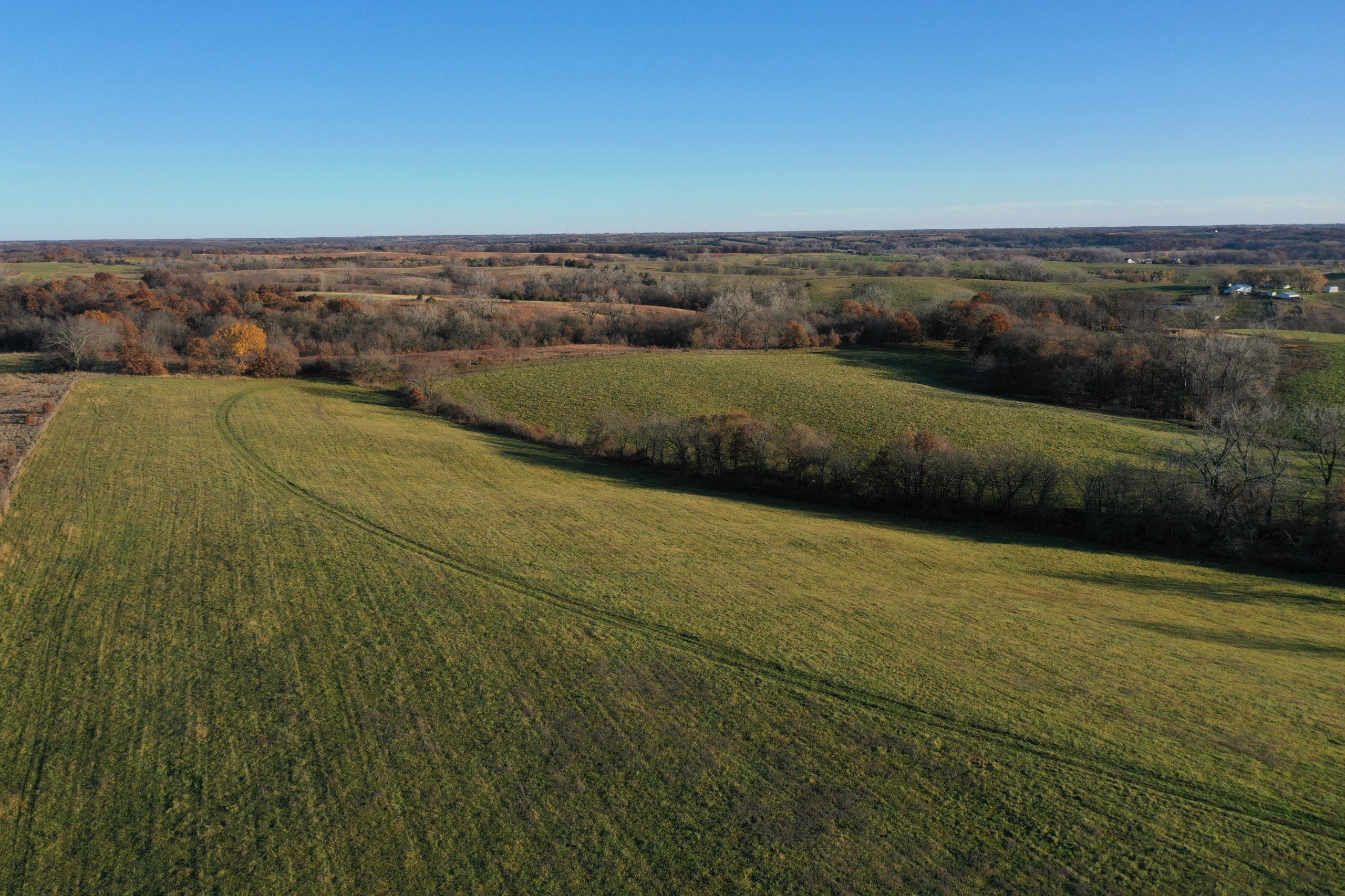 land-decatur-county-iowa-140-acres-listing-number-15896-DJI_0900 (1)-3.jpg