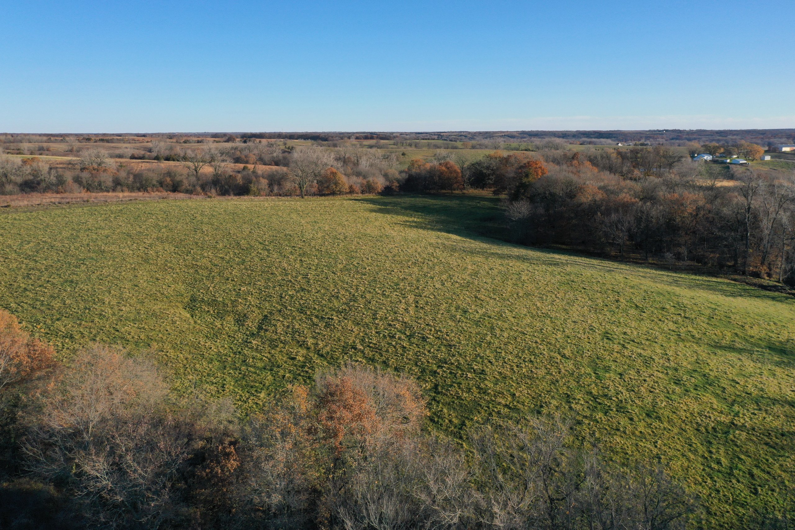 land-decatur-county-iowa-140-acres-listing-number-15896-DJI_0902 (1)-0.jpg