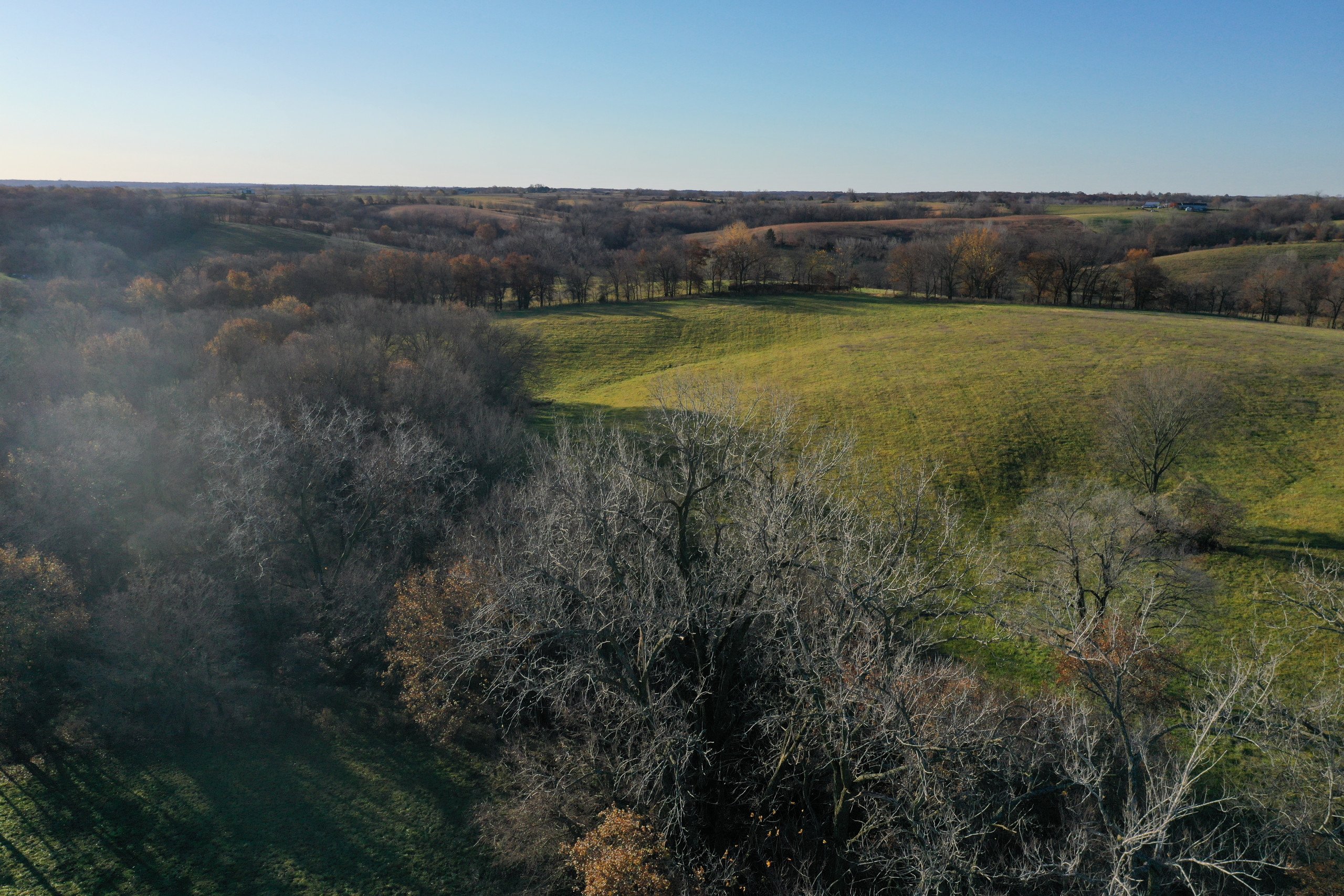land-decatur-county-iowa-140-acres-listing-number-15896-DJI_0904 (1)-1.jpg
