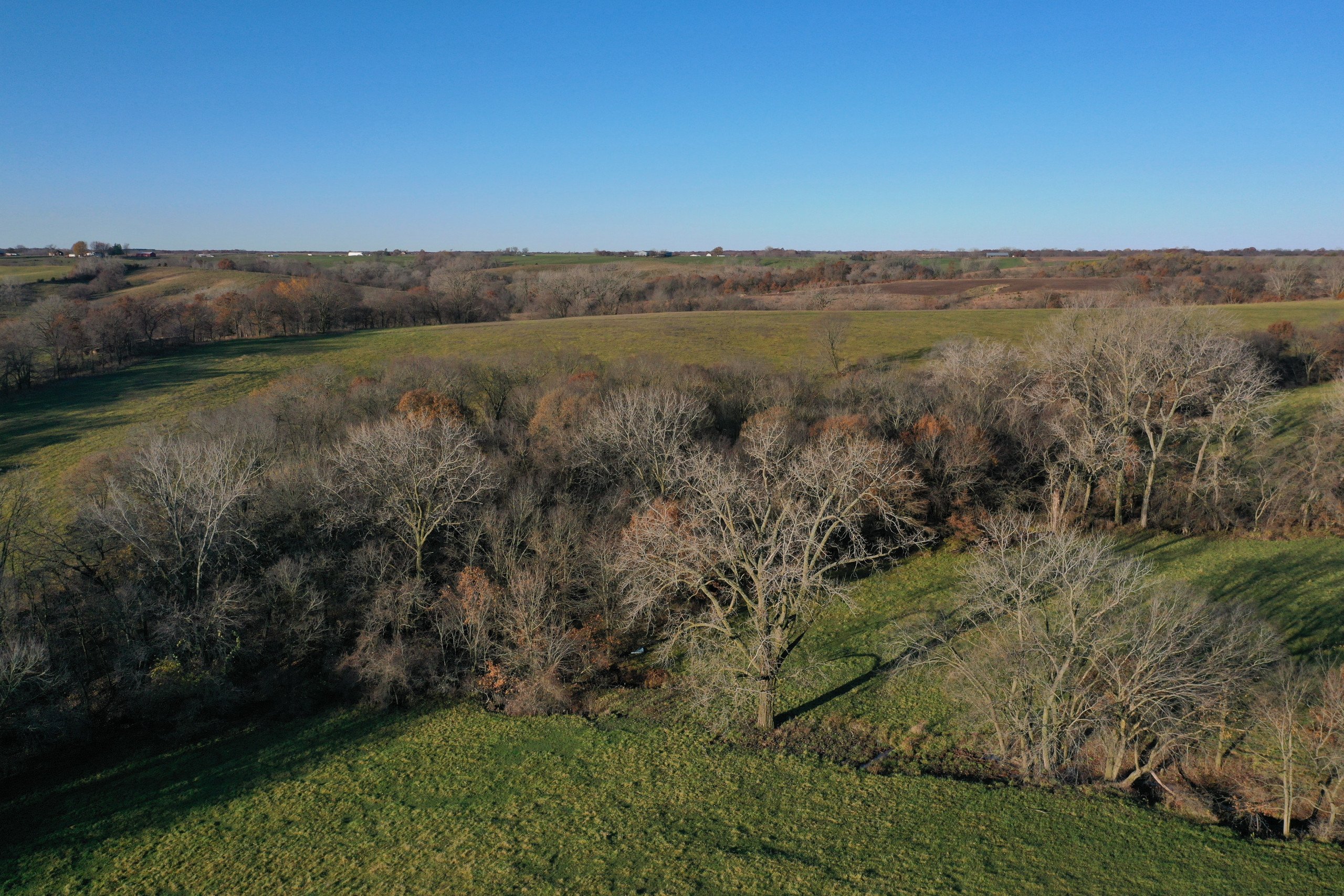 land-decatur-county-iowa-140-acres-listing-number-15896-DJI_0905 (1)-2.jpg