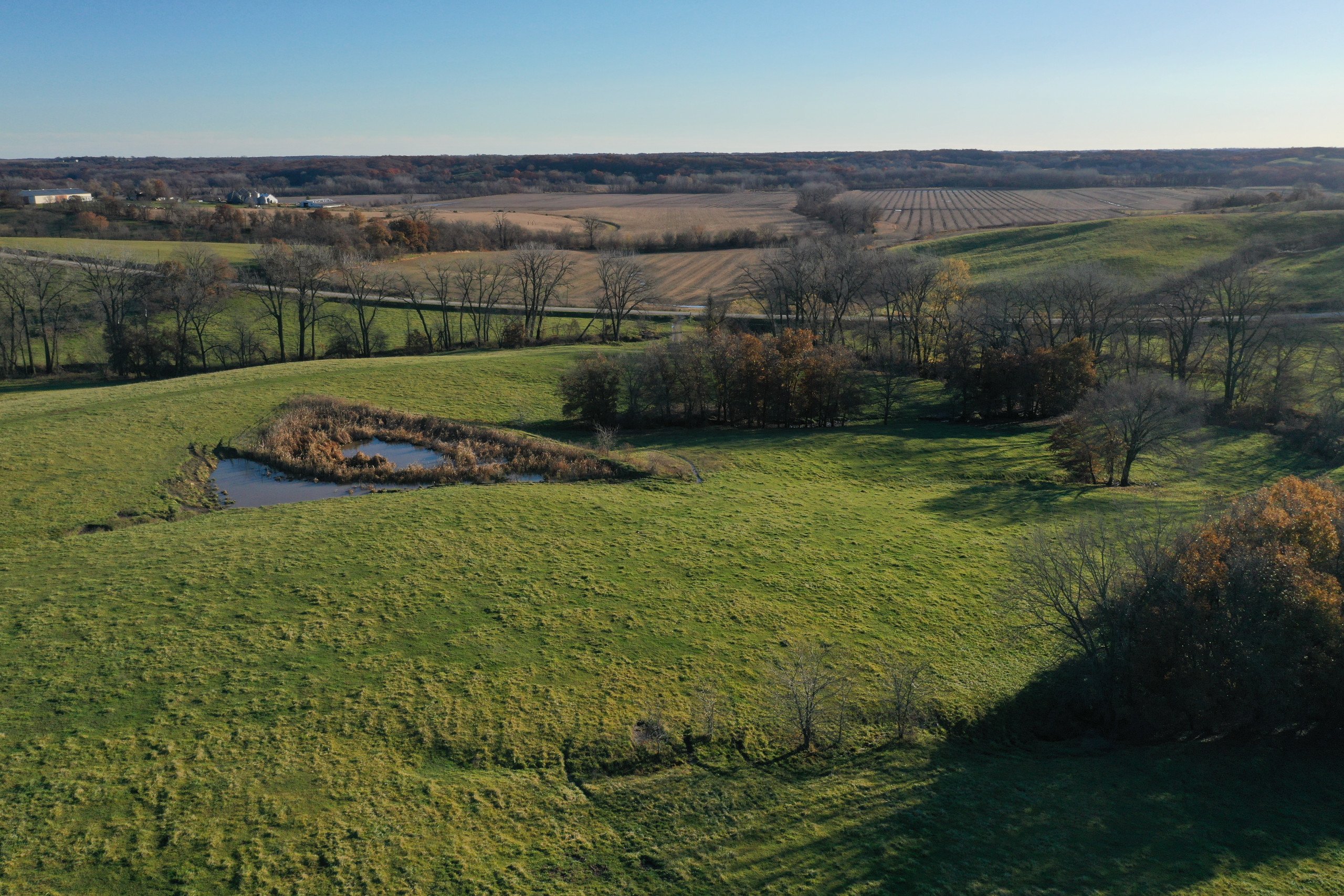 land-decatur-county-iowa-140-acres-listing-number-15896-DJI_0907 (1)-4.jpg