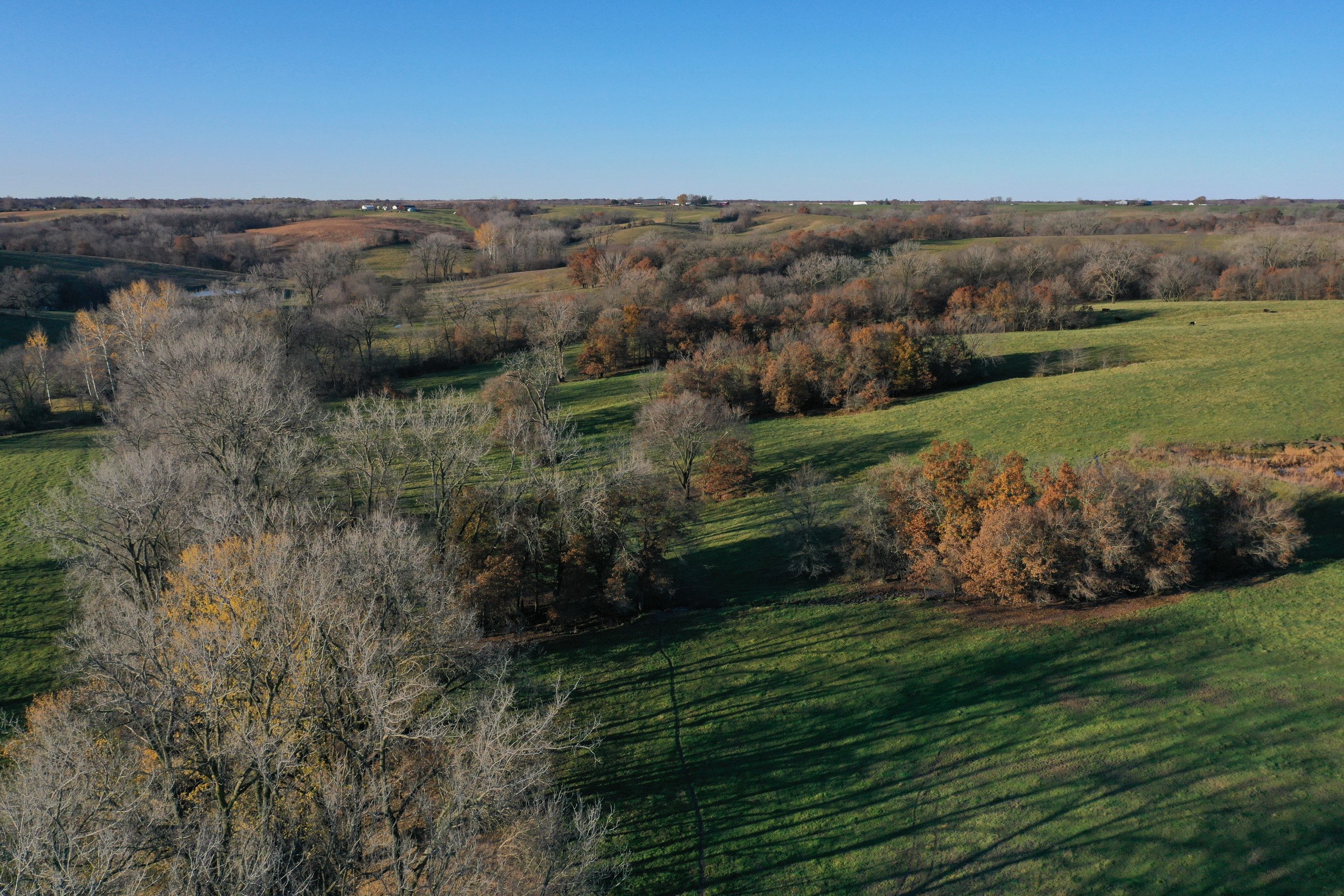 land-decatur-county-iowa-140-acres-listing-number-15896-DJI_0914 (1)-4.jpg