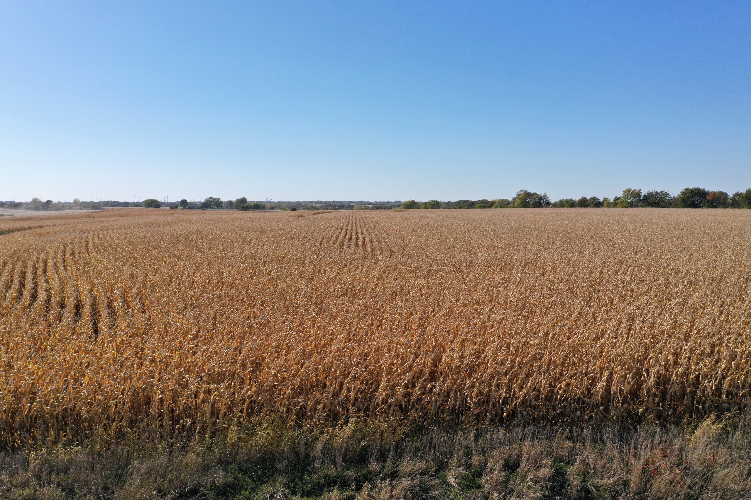 Guthrie and Adair County, Iowa Farmland For Sale