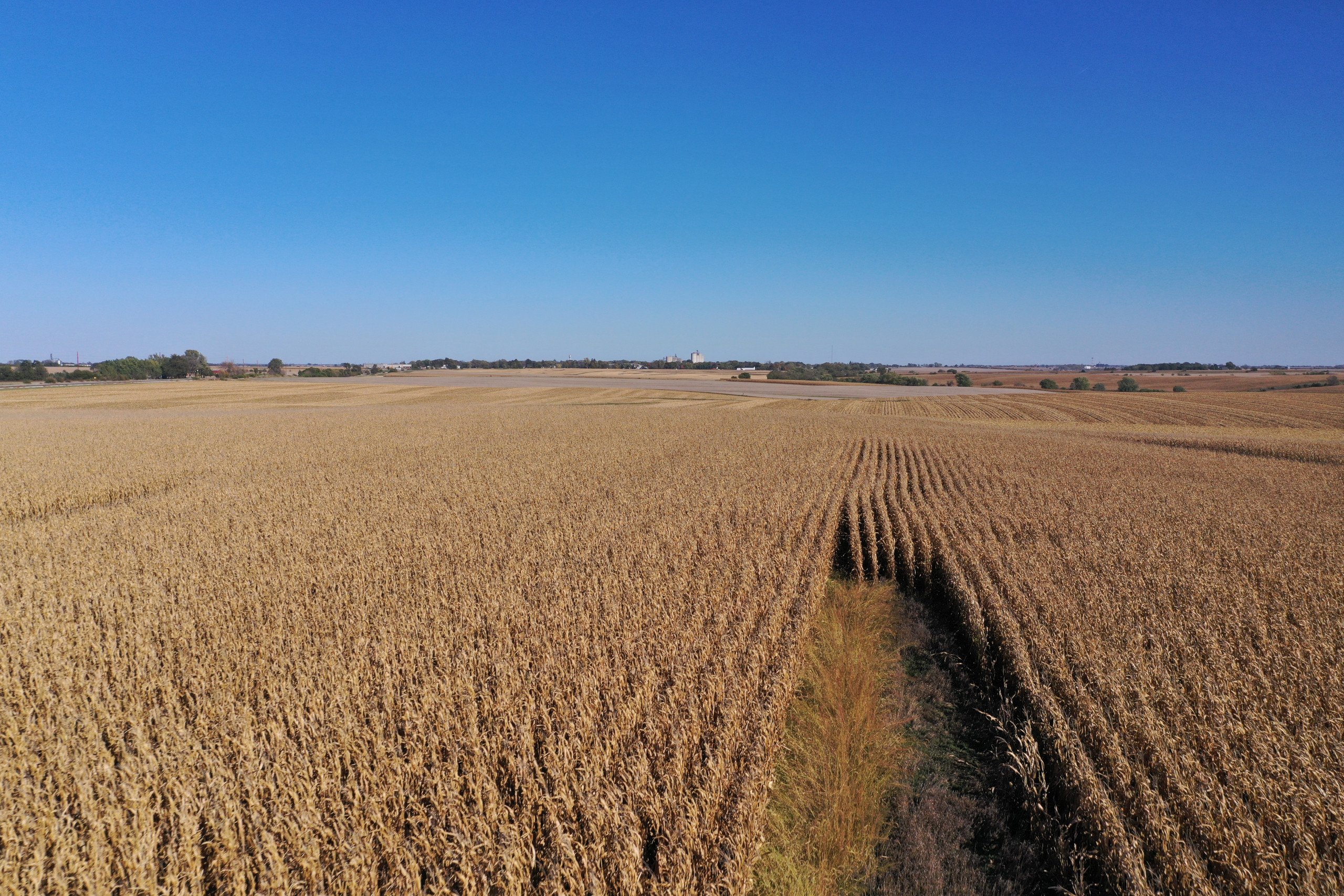 Guthrie and Adair County, Iowa Farmland For Sale