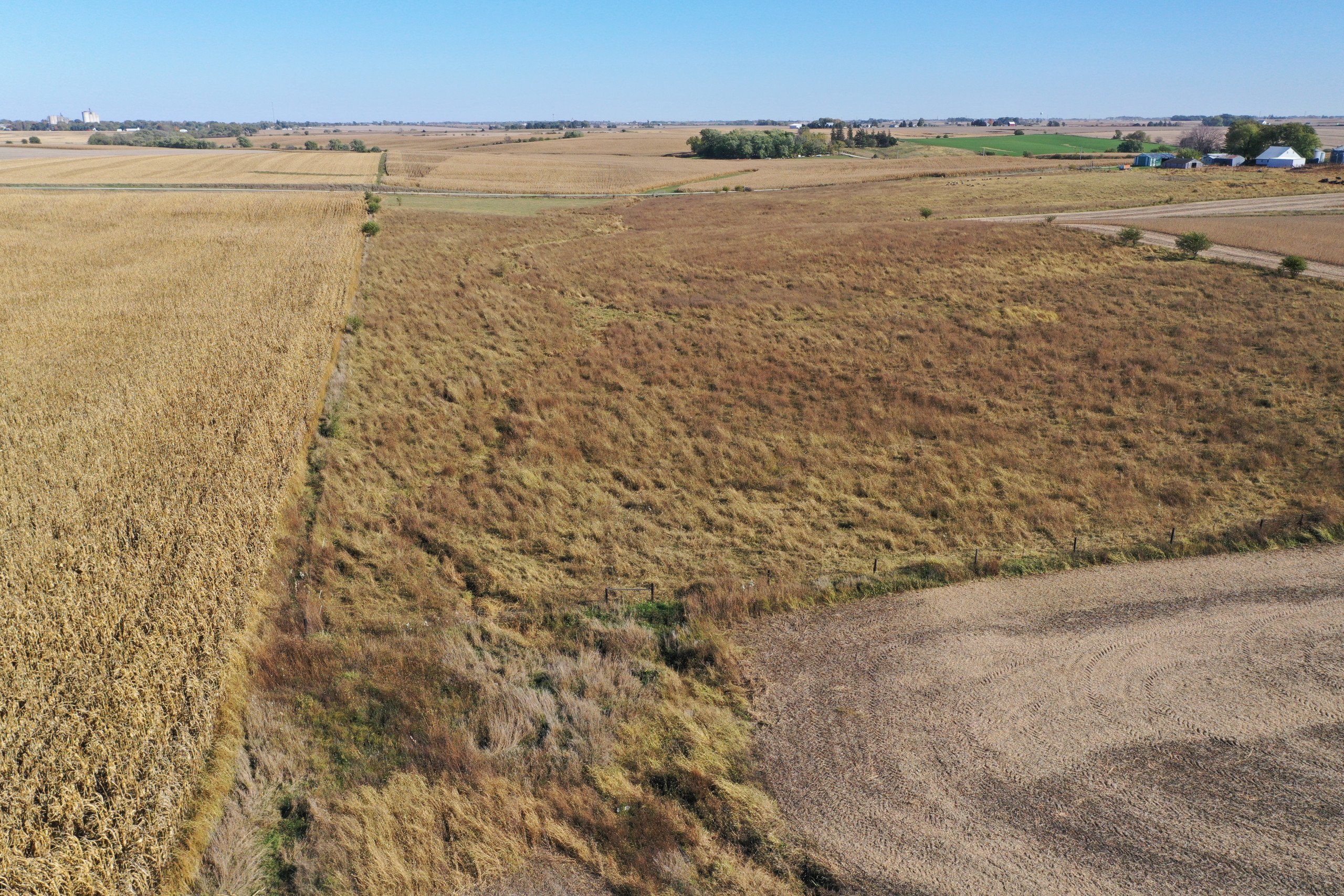 Guthrie and Adair County, Iowa Farmland For Sale