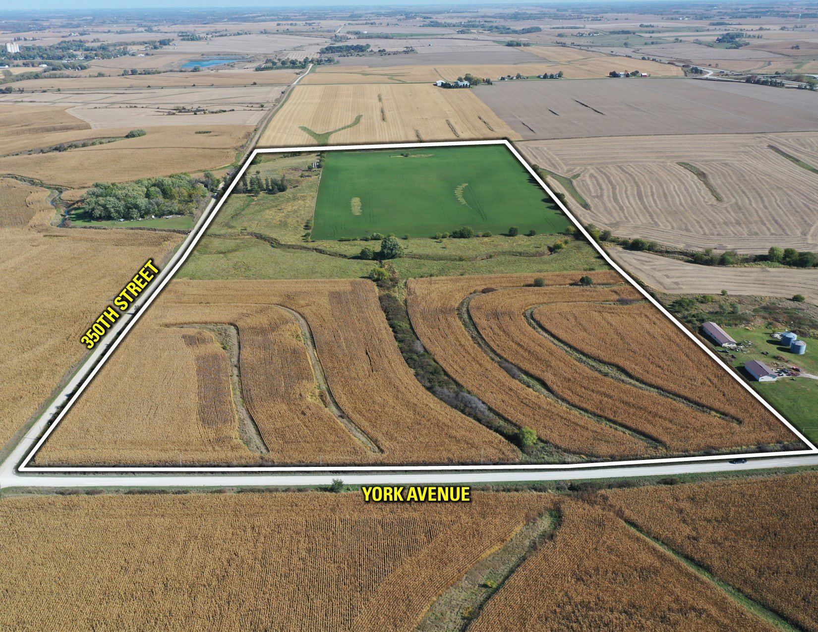 Guthrie and Adair County, Iowa Farmland For Sale