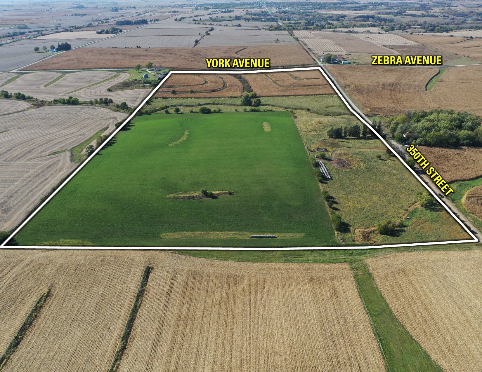 Guthrie and Adair County, Iowa Farmland For Sale