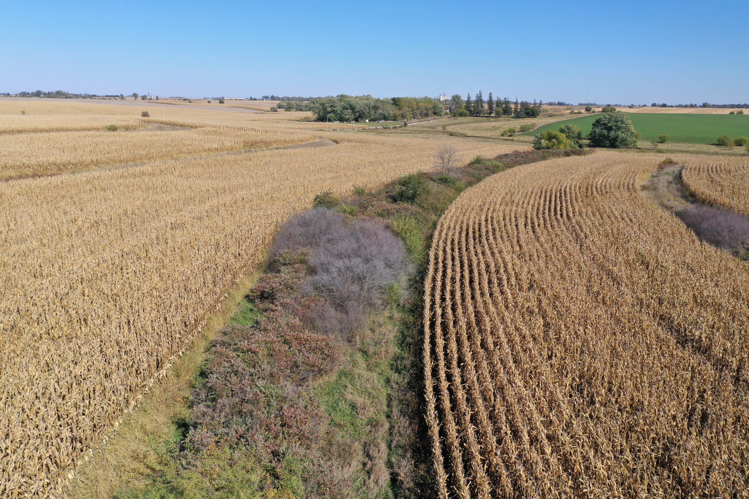 Guthrie and Adair County, Iowa Farmland For Sale