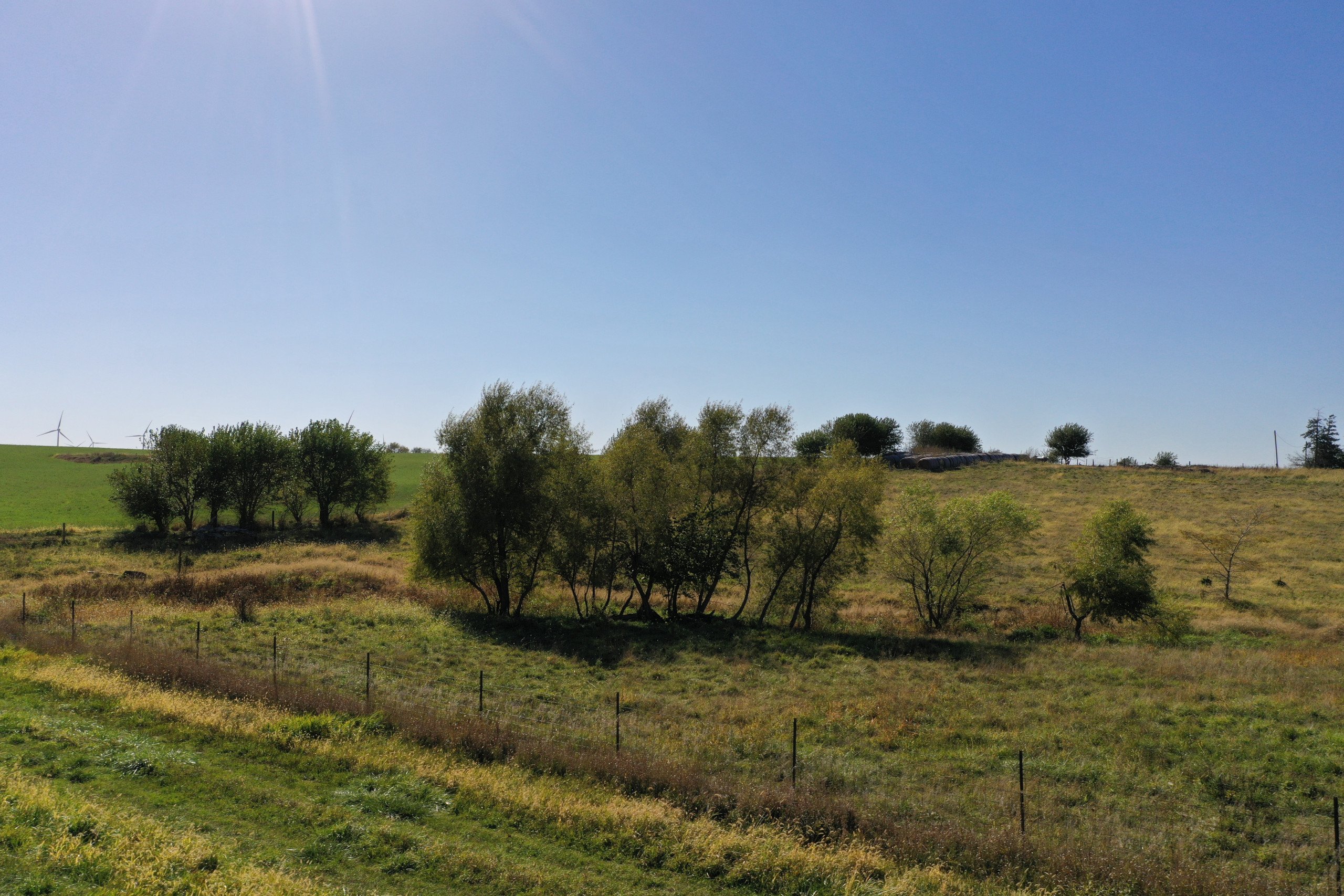 Guthrie and Adair County, Iowa Farmland For Sale