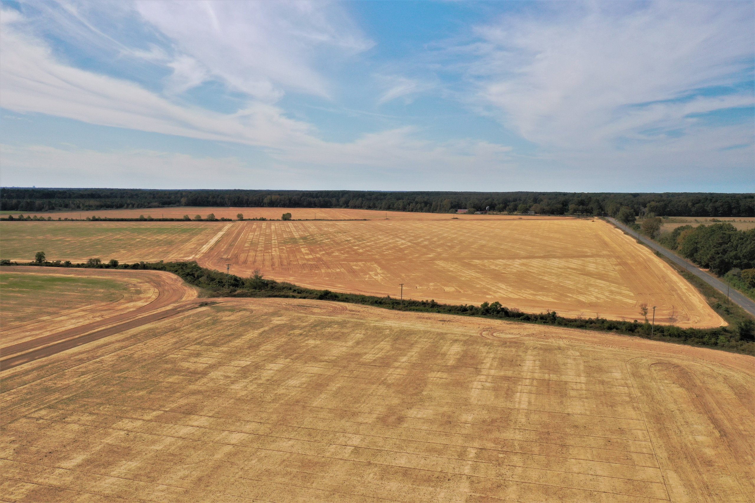 land-ashley-county-arkansas-209-acres-listing-number-15907-Ground 4-3.jpg