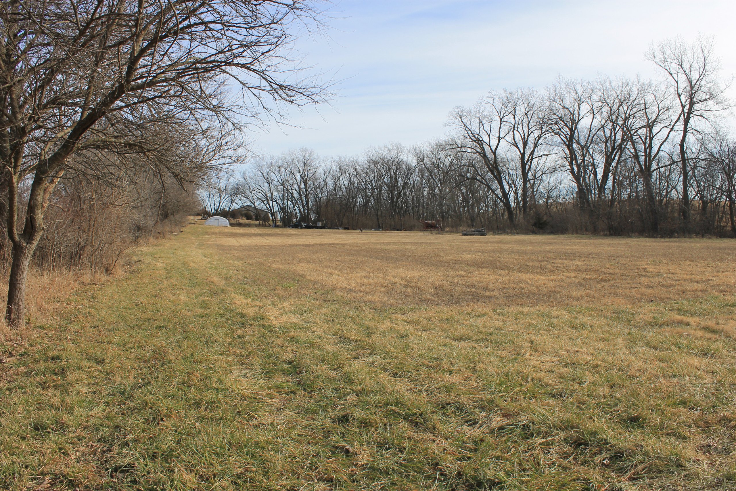 residential-land-warren-county-iowa-26-acres-listing-number-15924-IMG_5089-2.jpg
