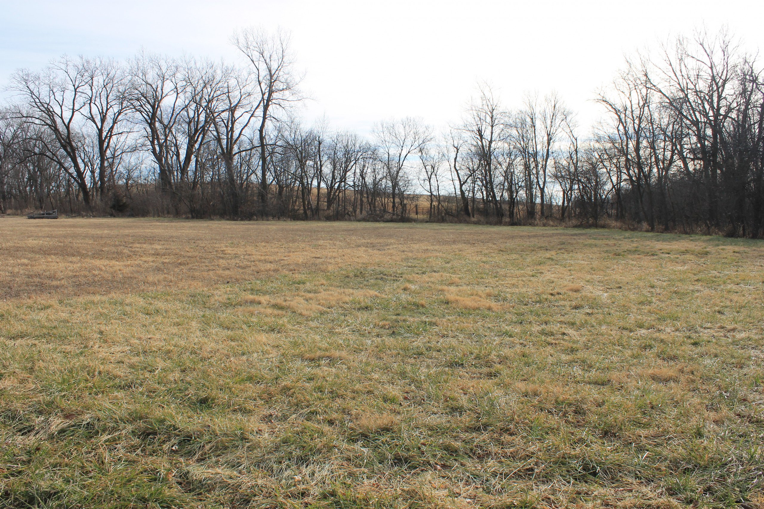 residential-land-warren-county-iowa-26-acres-listing-number-15924-IMG_5090-3.jpg