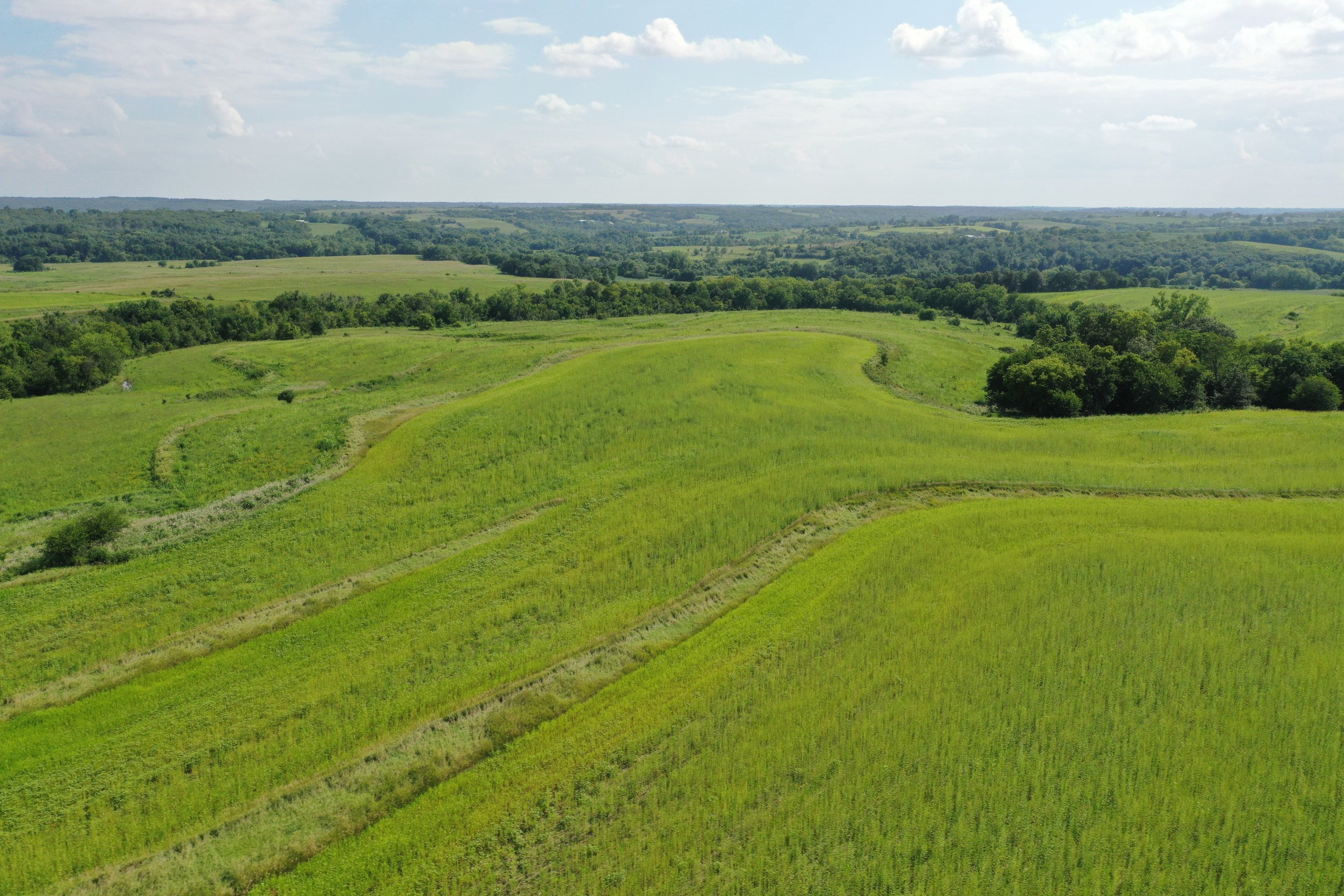Marion County Iowa Farmland For Sale 