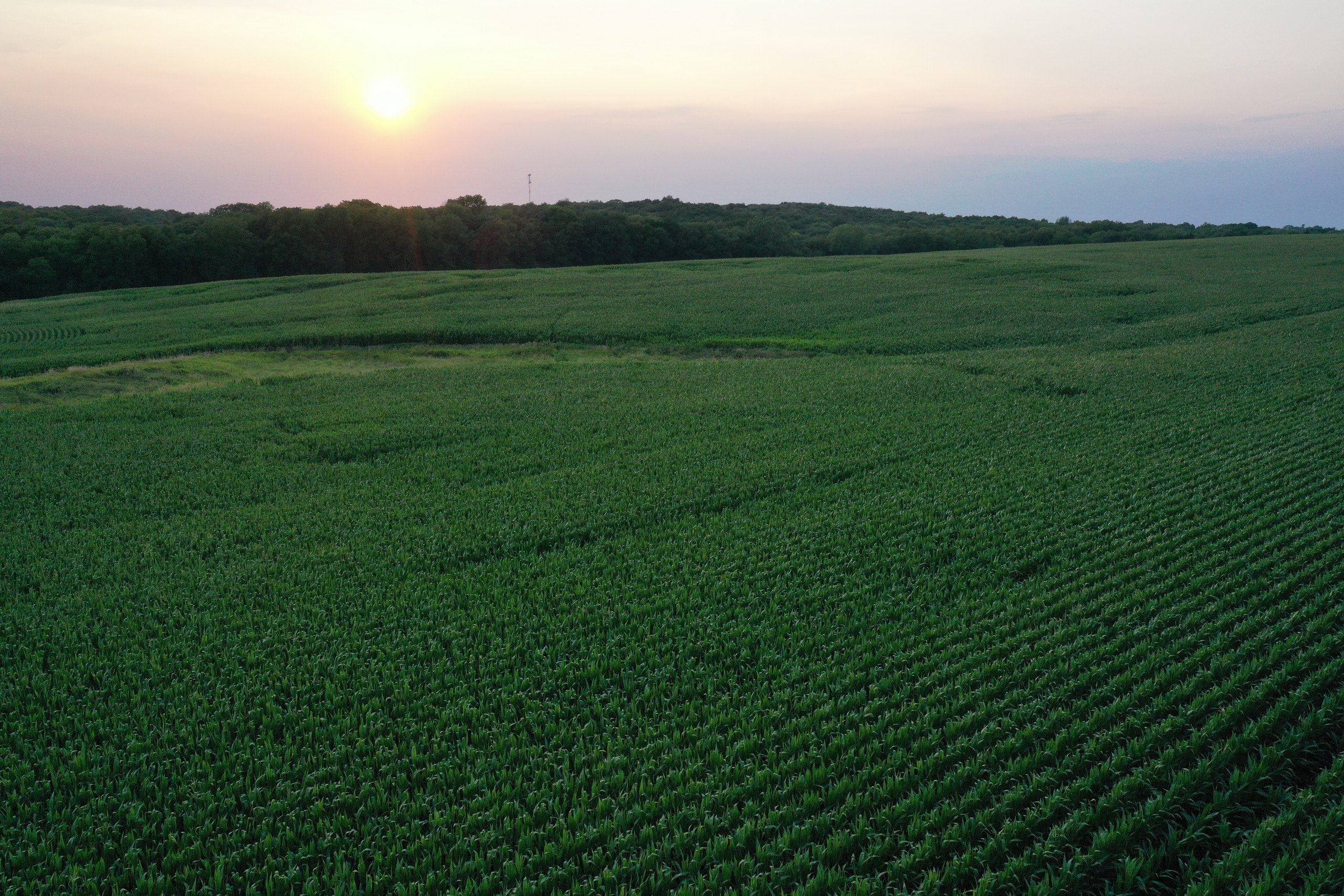 Guthrie County, Iowa Farmland for Sale