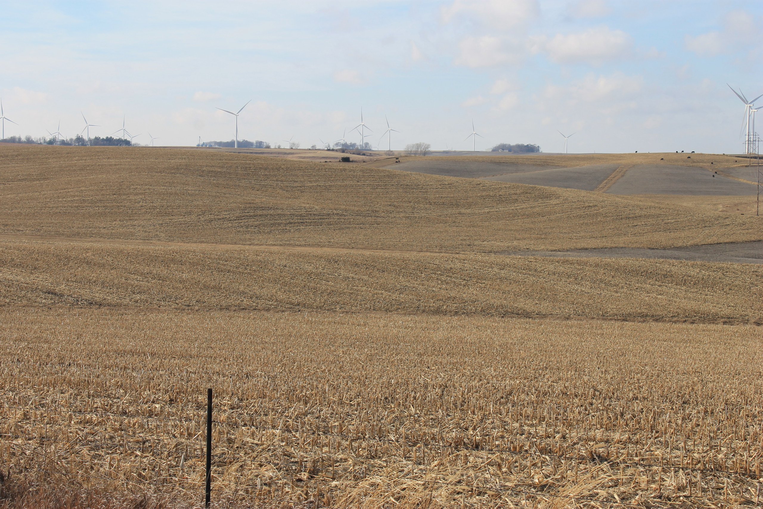 Guthrie County, Iowa Farmland For Sale