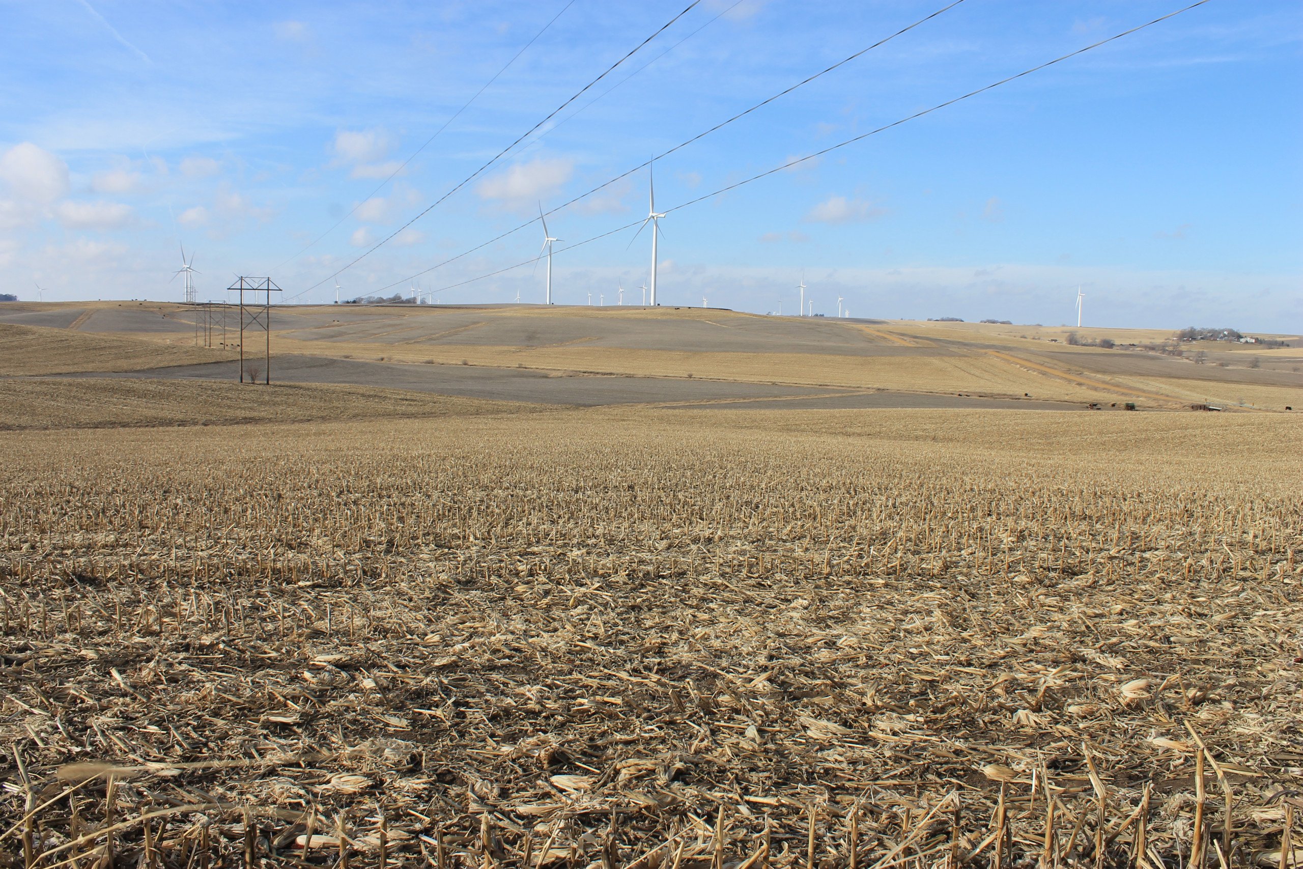 Guthrie County, Iowa Farmland For Sale