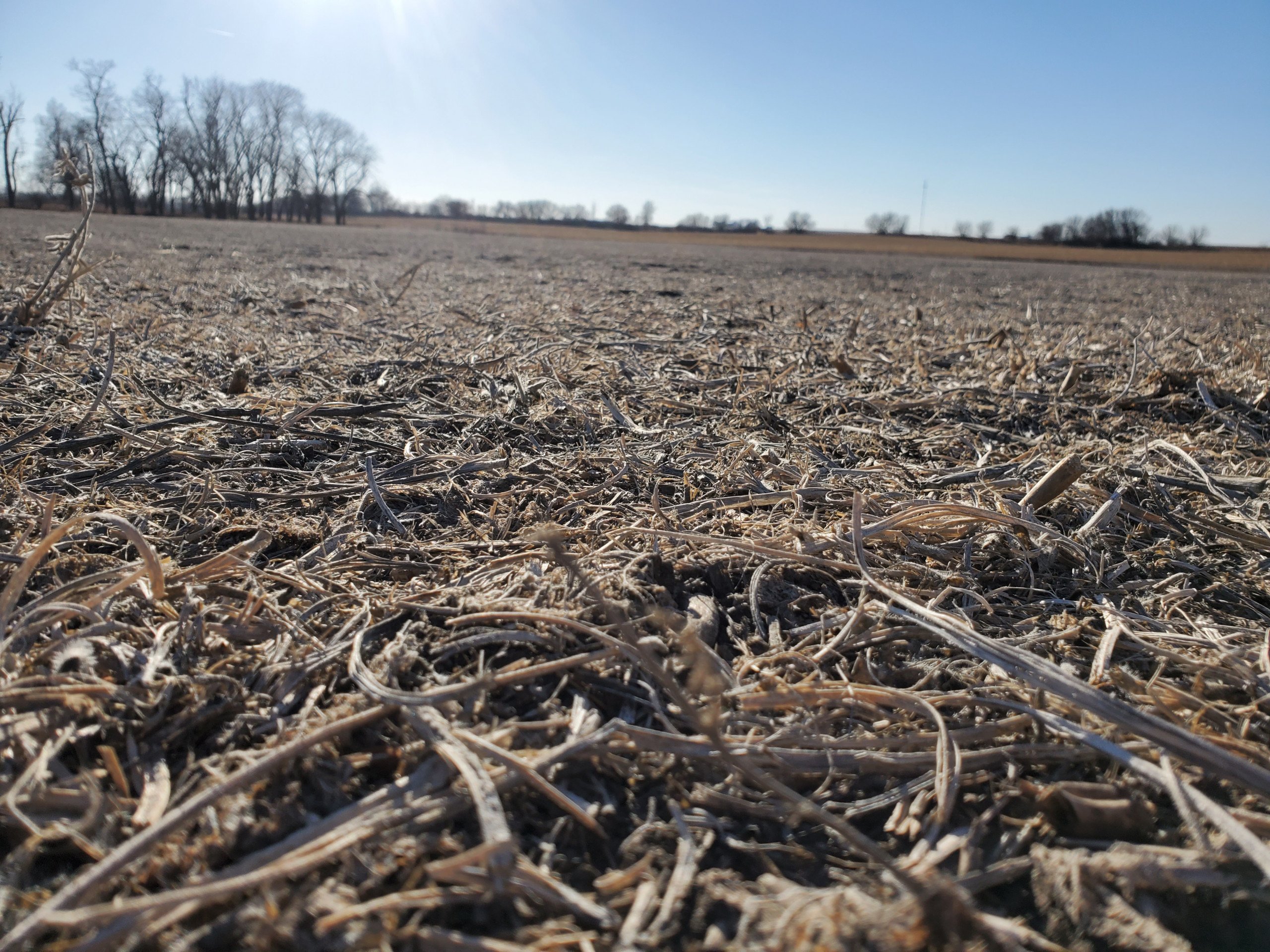 Guthrie County, Iowa Farmland For Sale