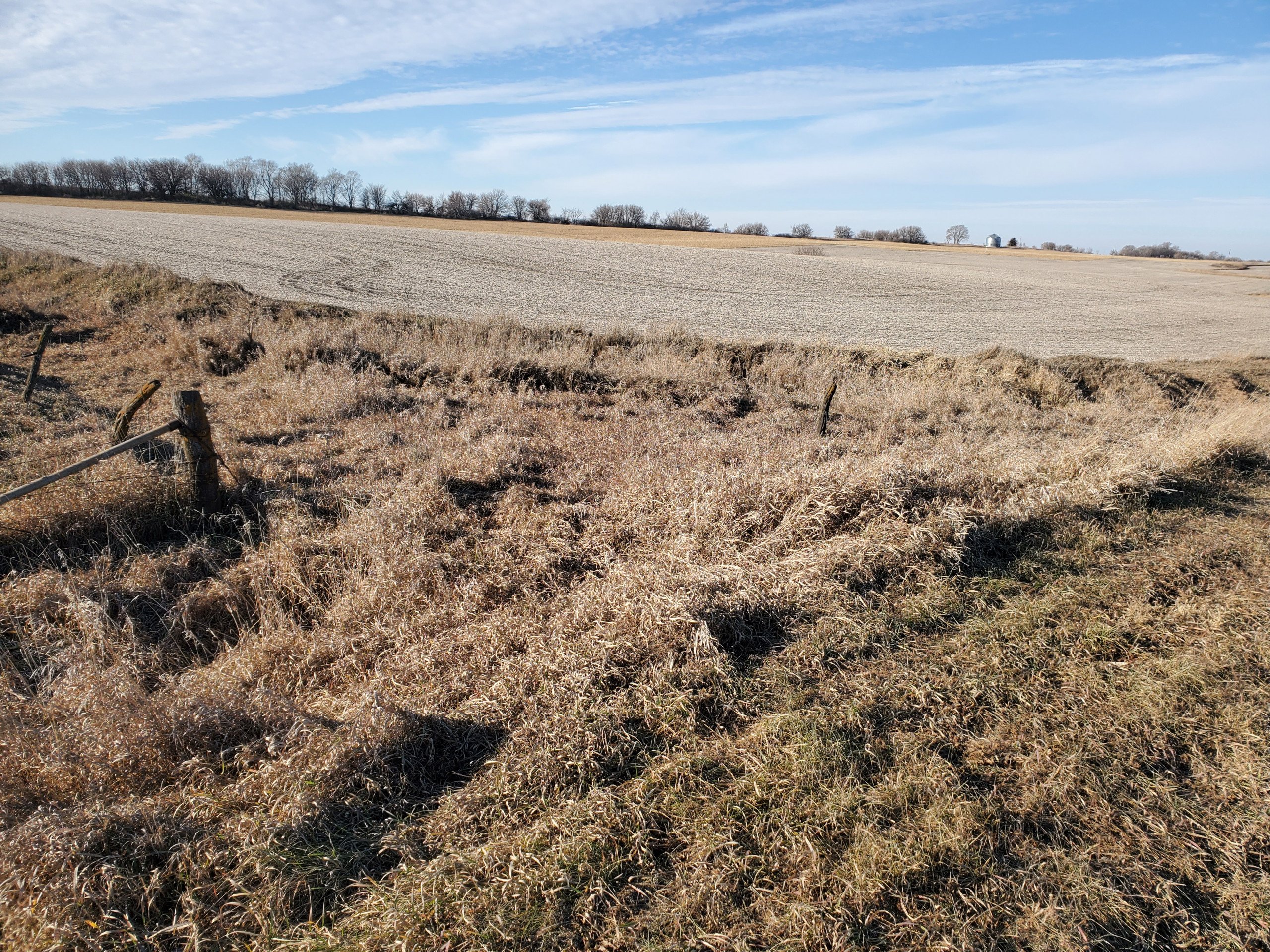 Guthrie County, Iowa Farmland For Sale